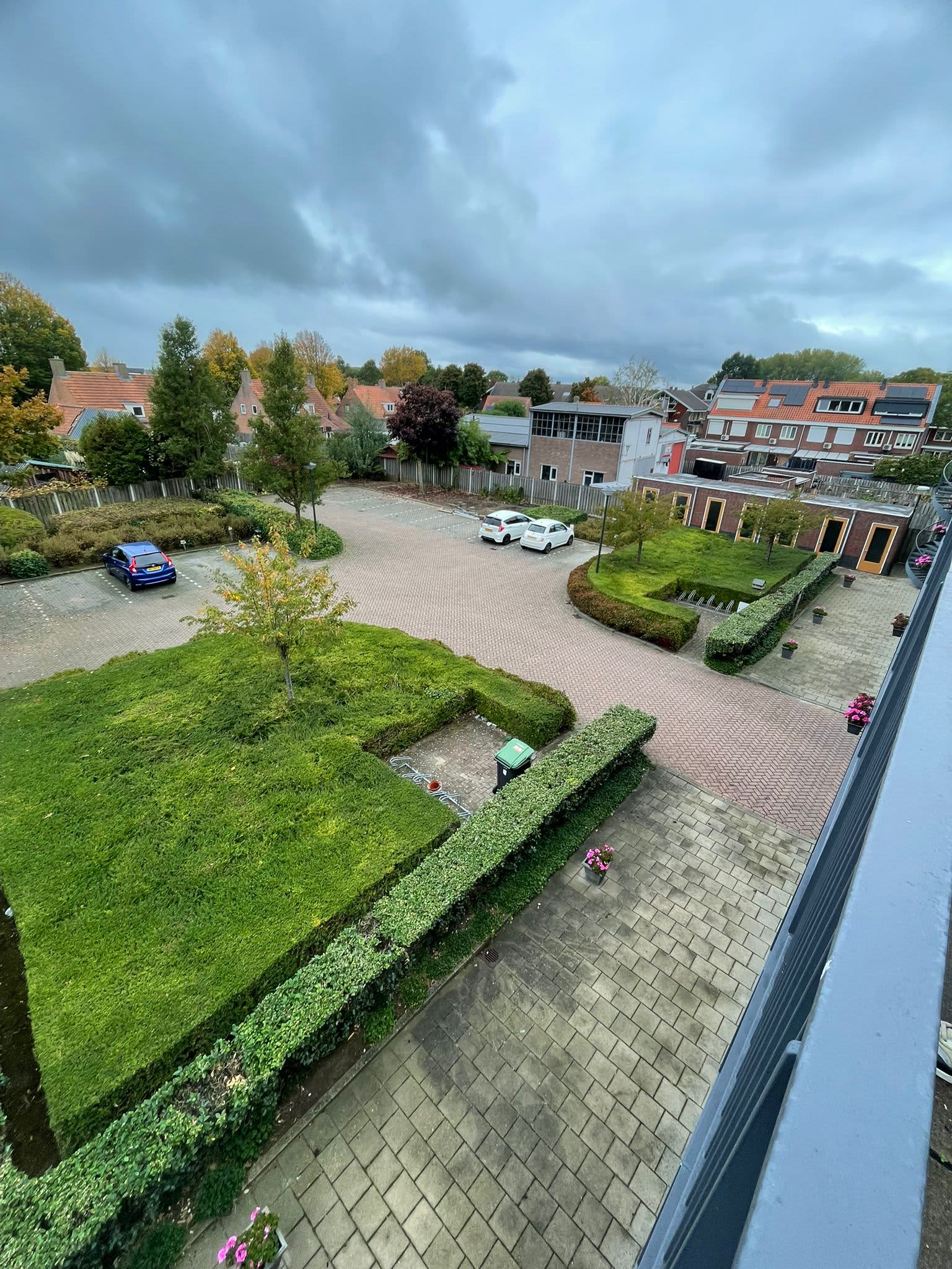 Mariapolder 57 - Hank