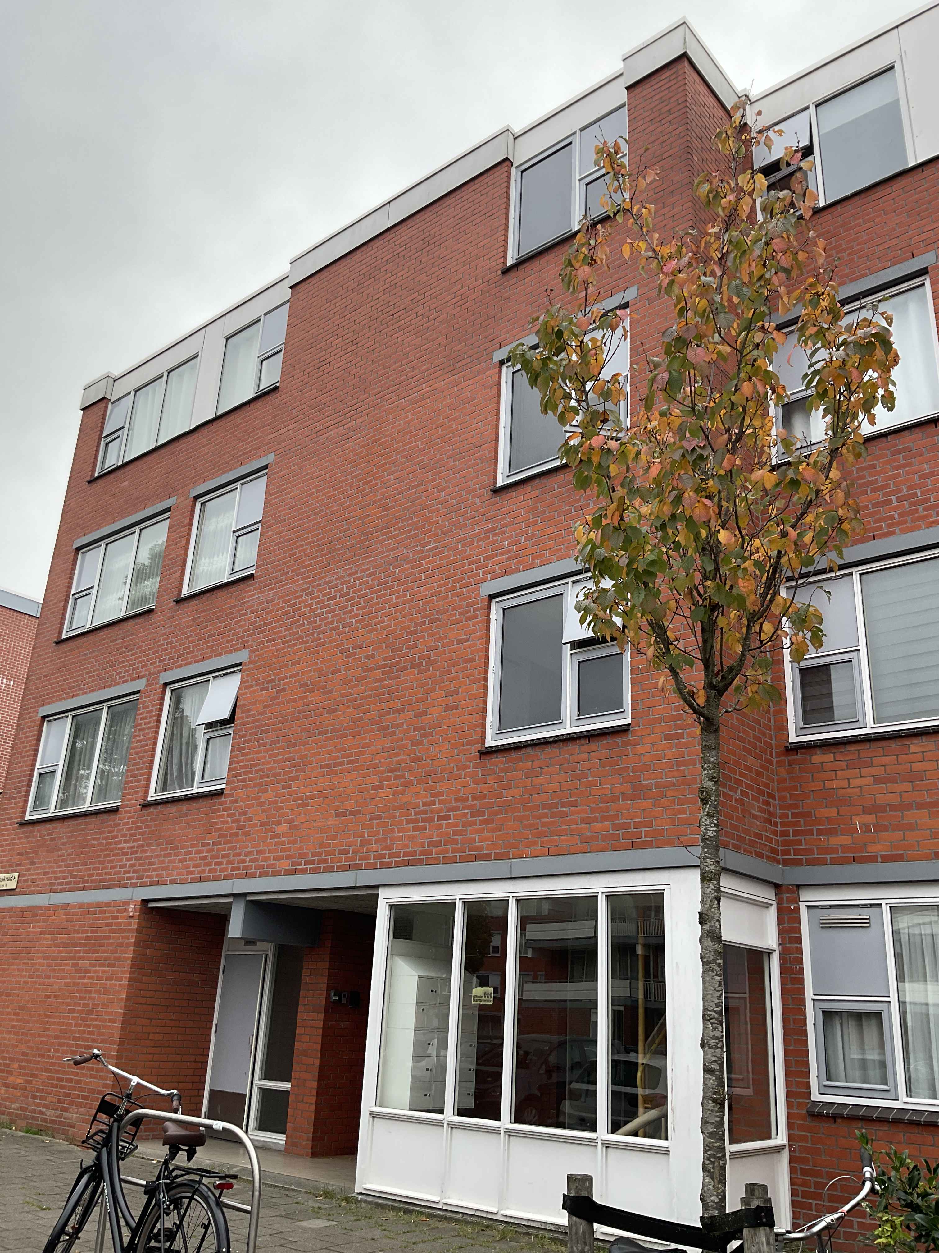 Havikskruid 21 - Diemen