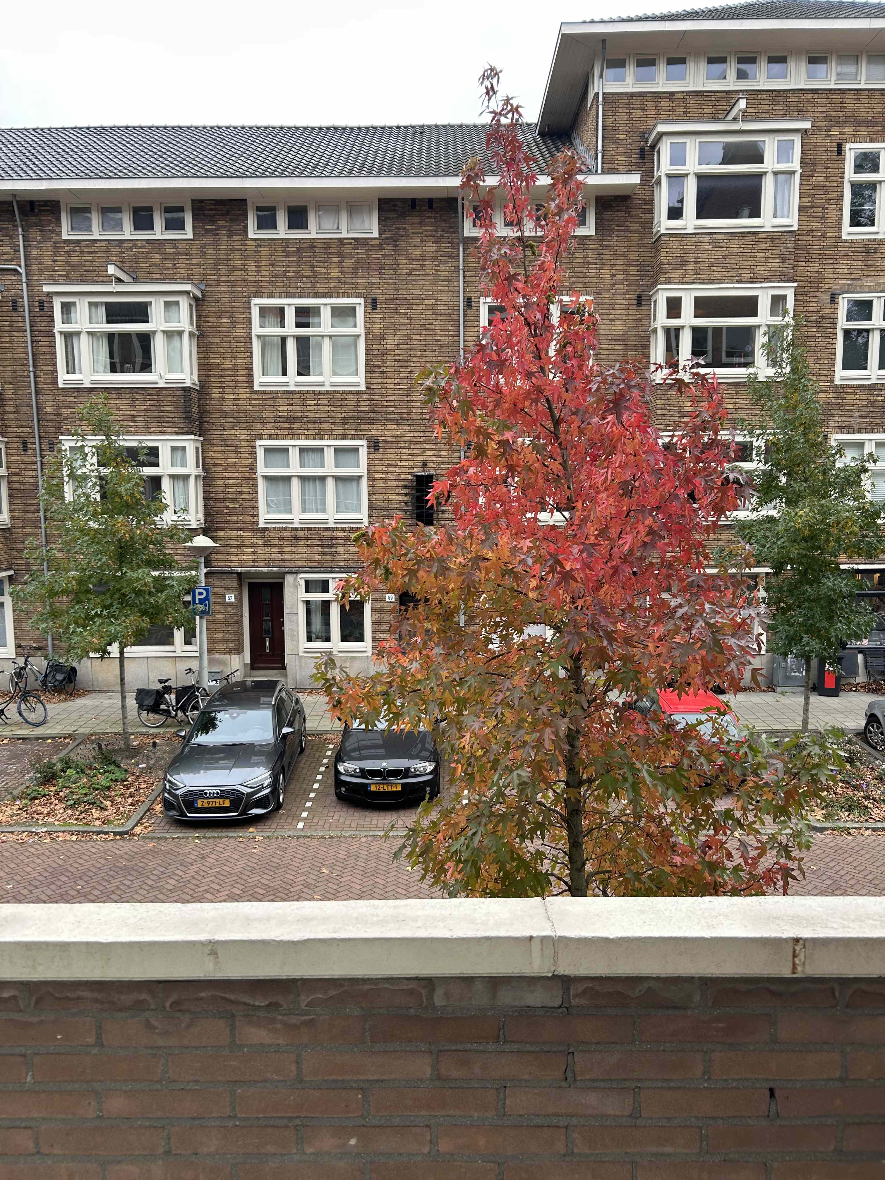 Niersstraat 60-1 - Amsterdam