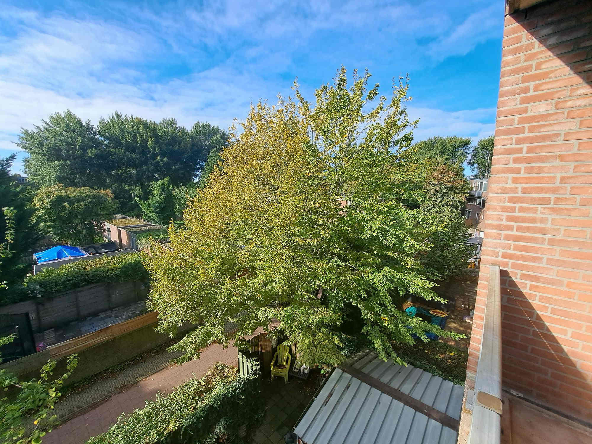 Langshof 99 - Almere