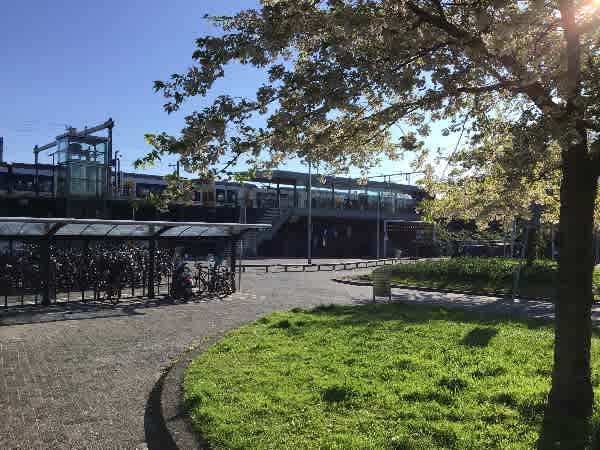 Ringslangpad 2 - Amsterdam