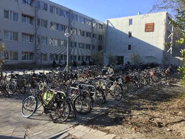 Ringslangpad 2 - Amsterdam