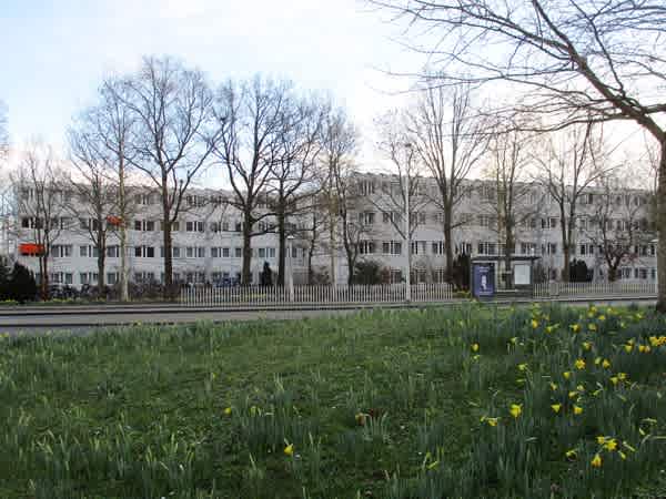 Ringslangpad 2 - Amsterdam