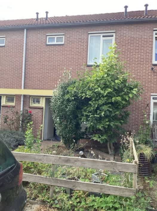 Mgr. Verhoeksstraat 36 - Velddriel