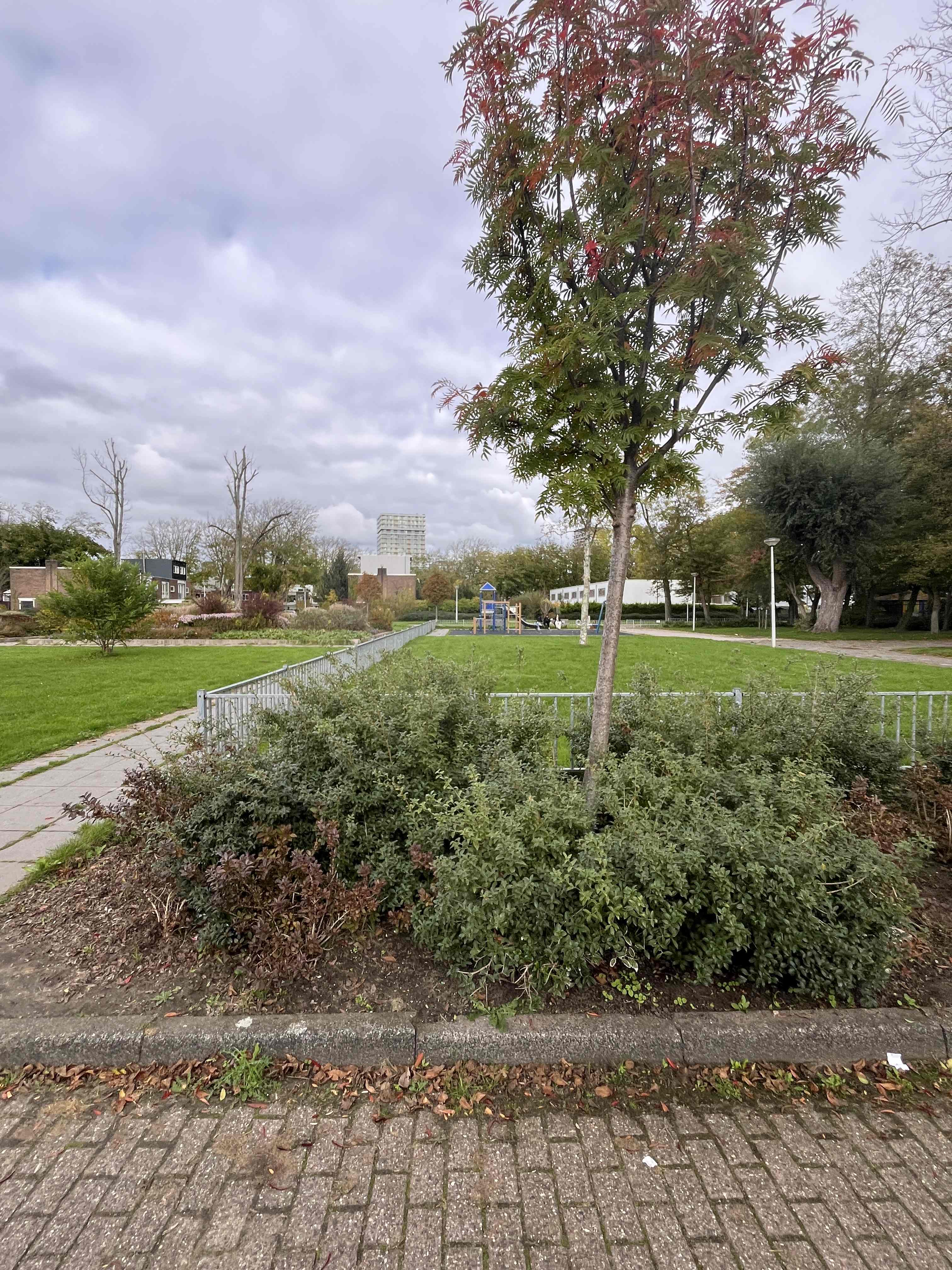 W.J. Bijleveldstraat 2 - Amsterdam