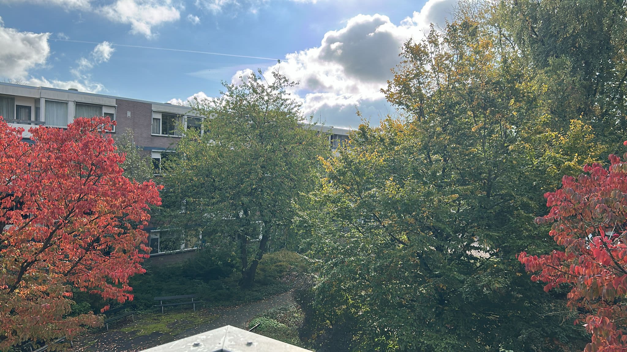 Van Nijenrodeweg 1007 - Amsterdam