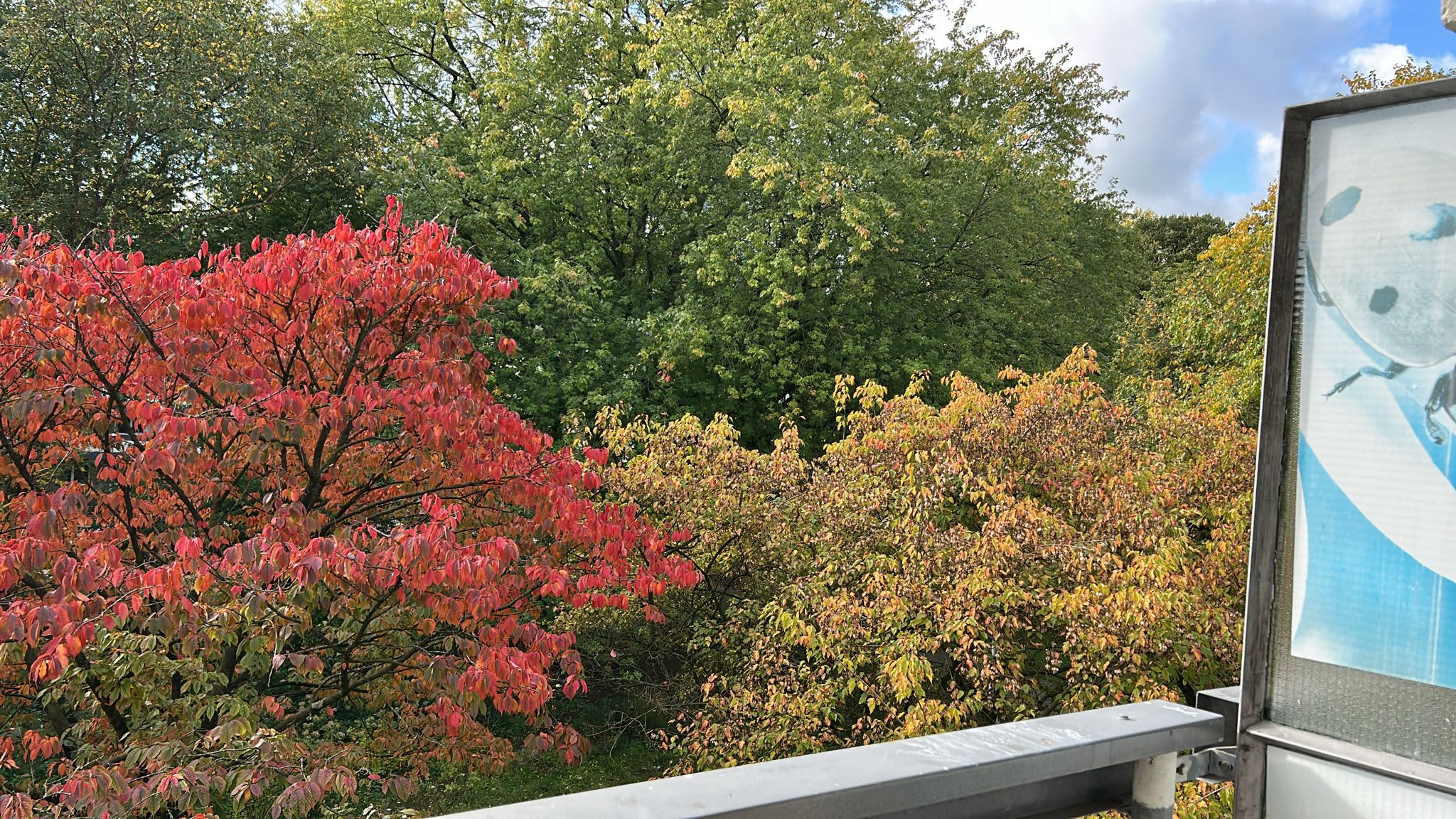 Van Nijenrodeweg 1007 - Amsterdam