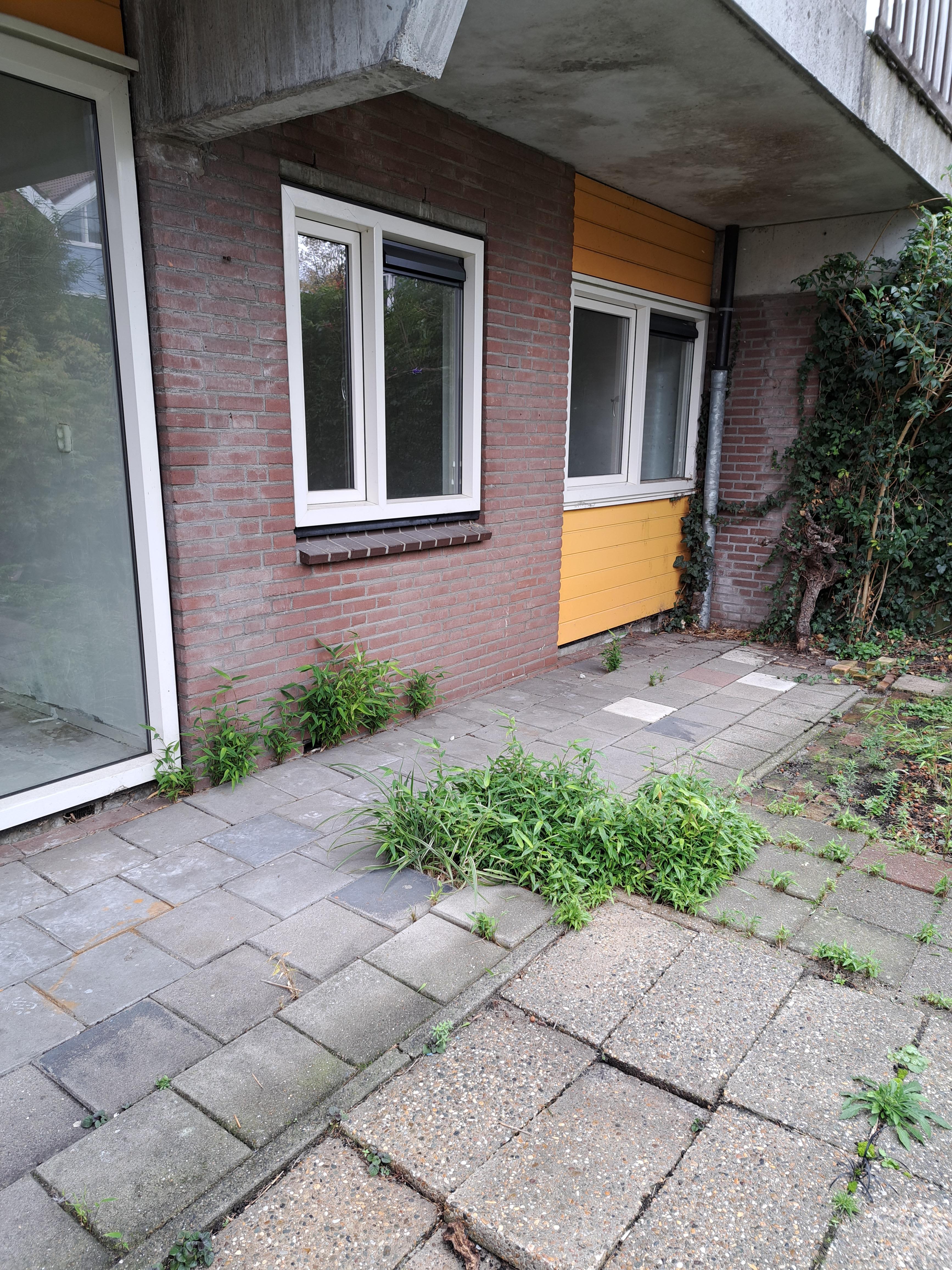 Voortingplantsoen 44 - Haarlem