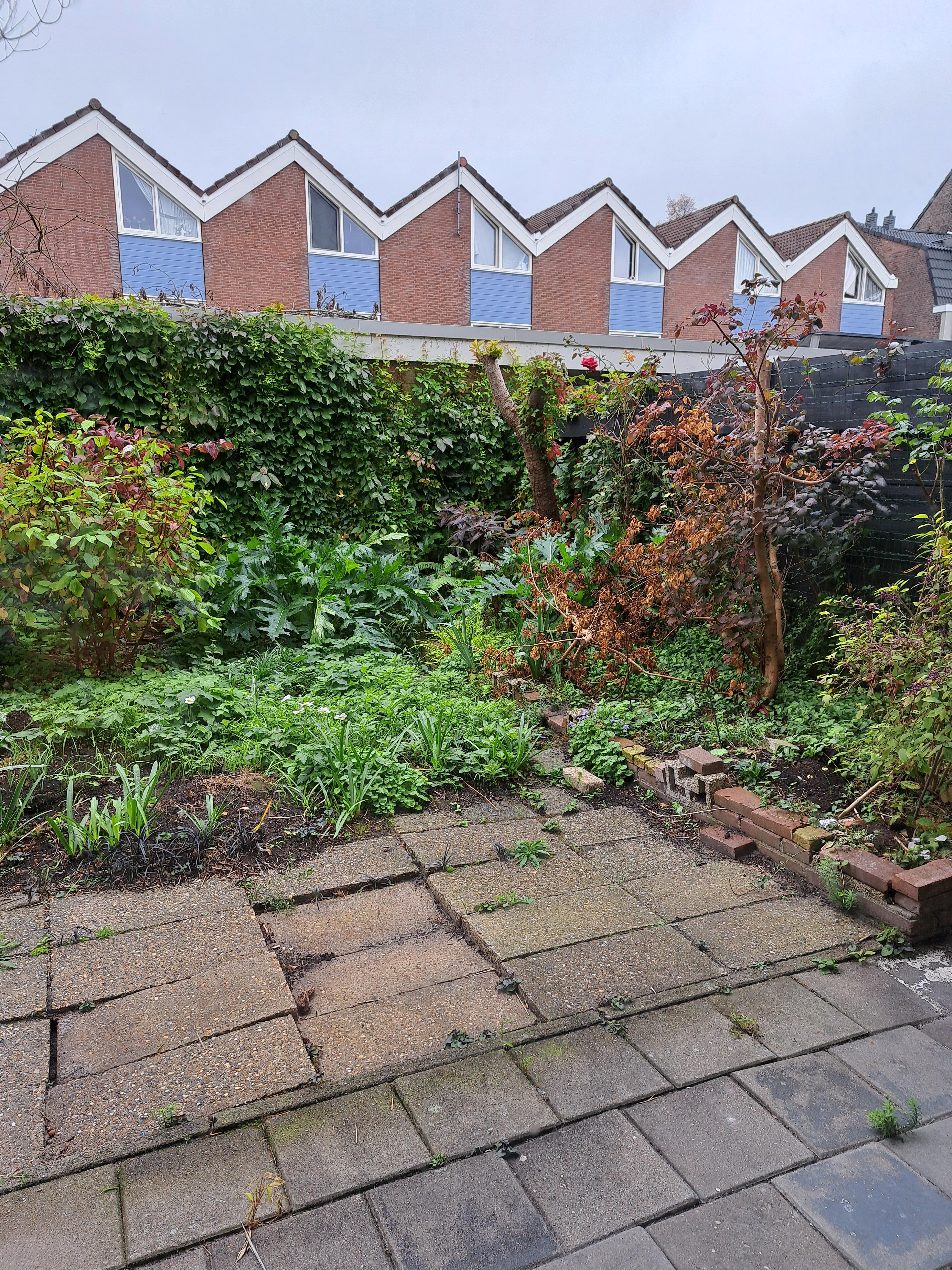 Voortingplantsoen 44 - Haarlem