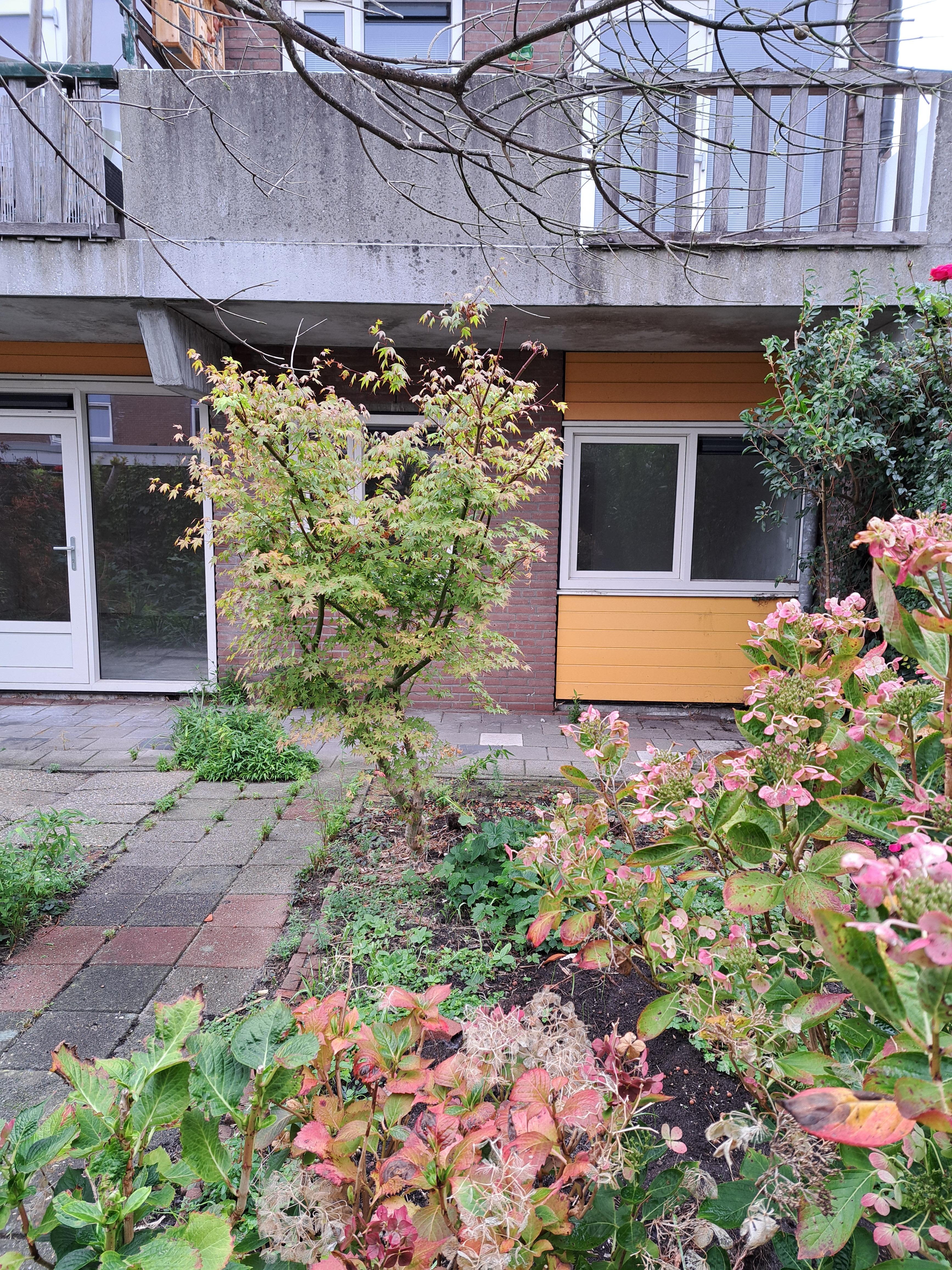 Voortingplantsoen 44 - Haarlem