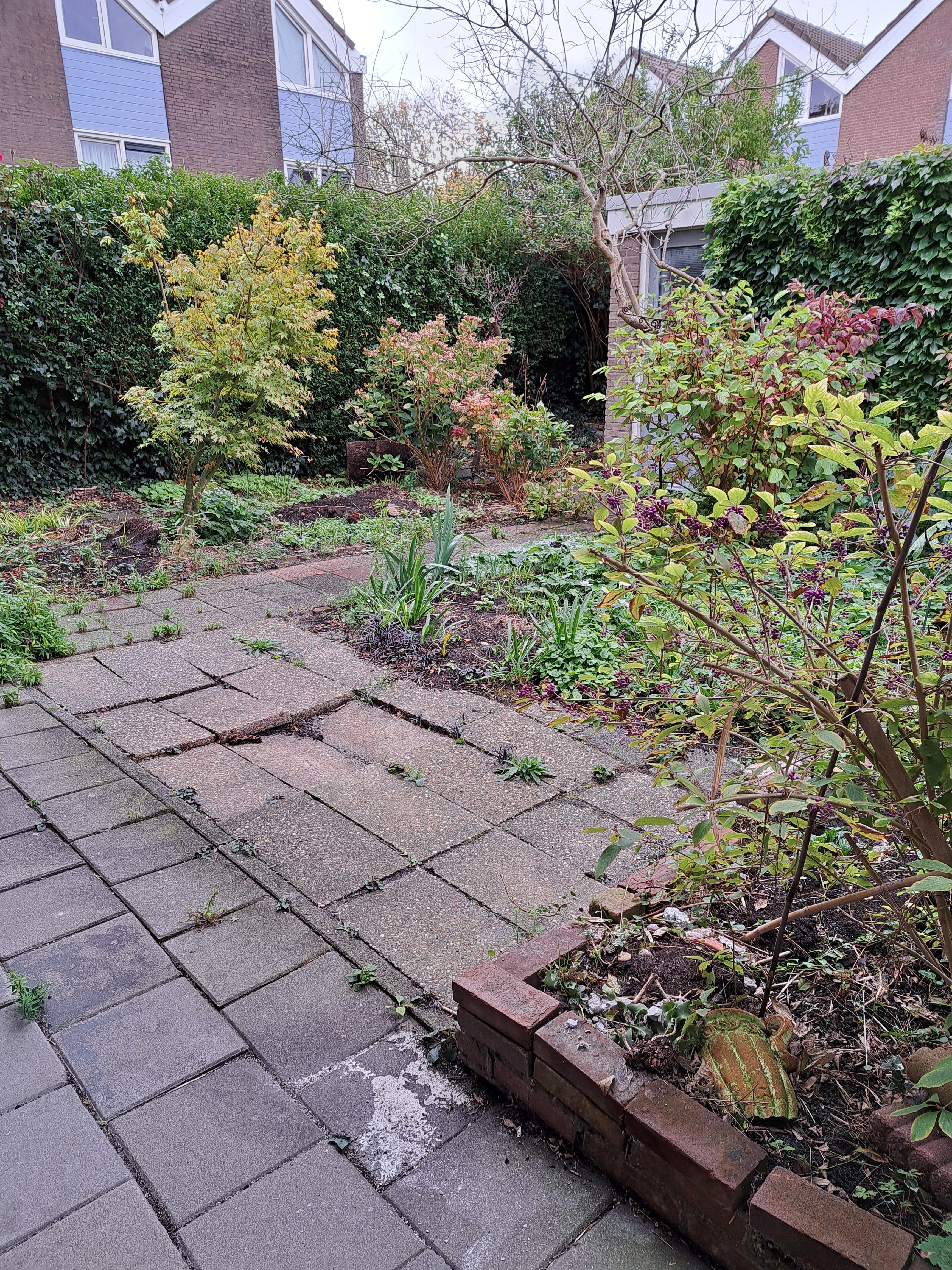 Voortingplantsoen 44 - Haarlem