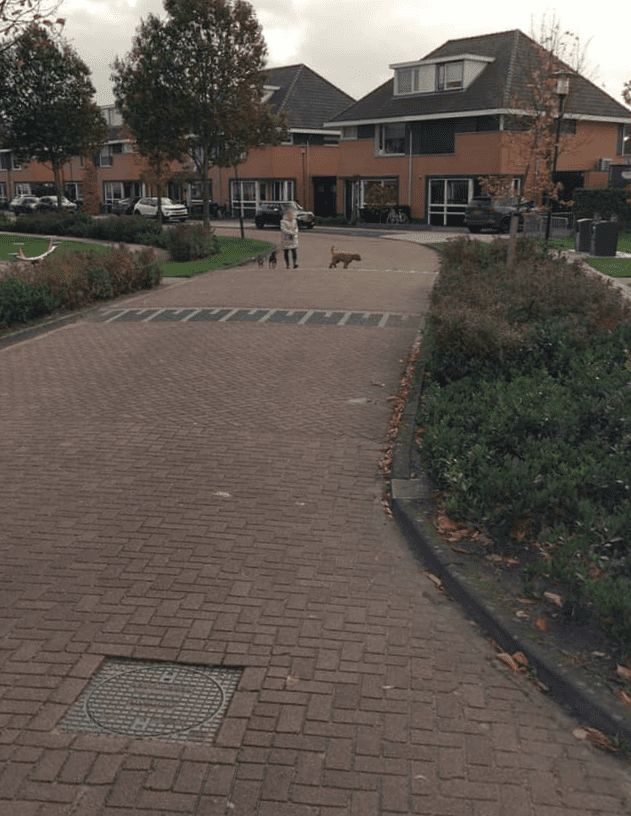 Lijzijde 5 - Bunschoten-Spakenburg