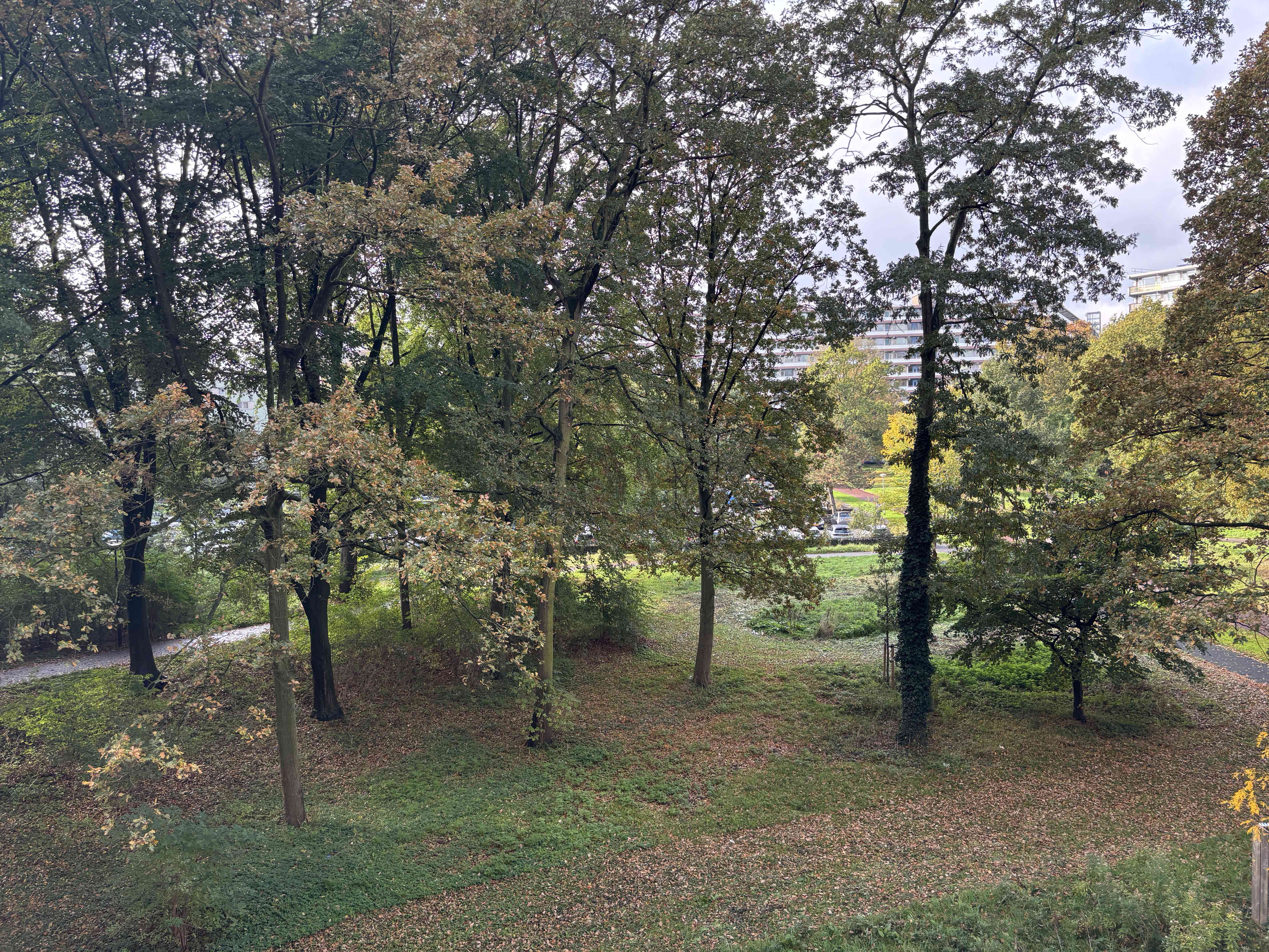 Kruitberg 2206 - Amsterdam