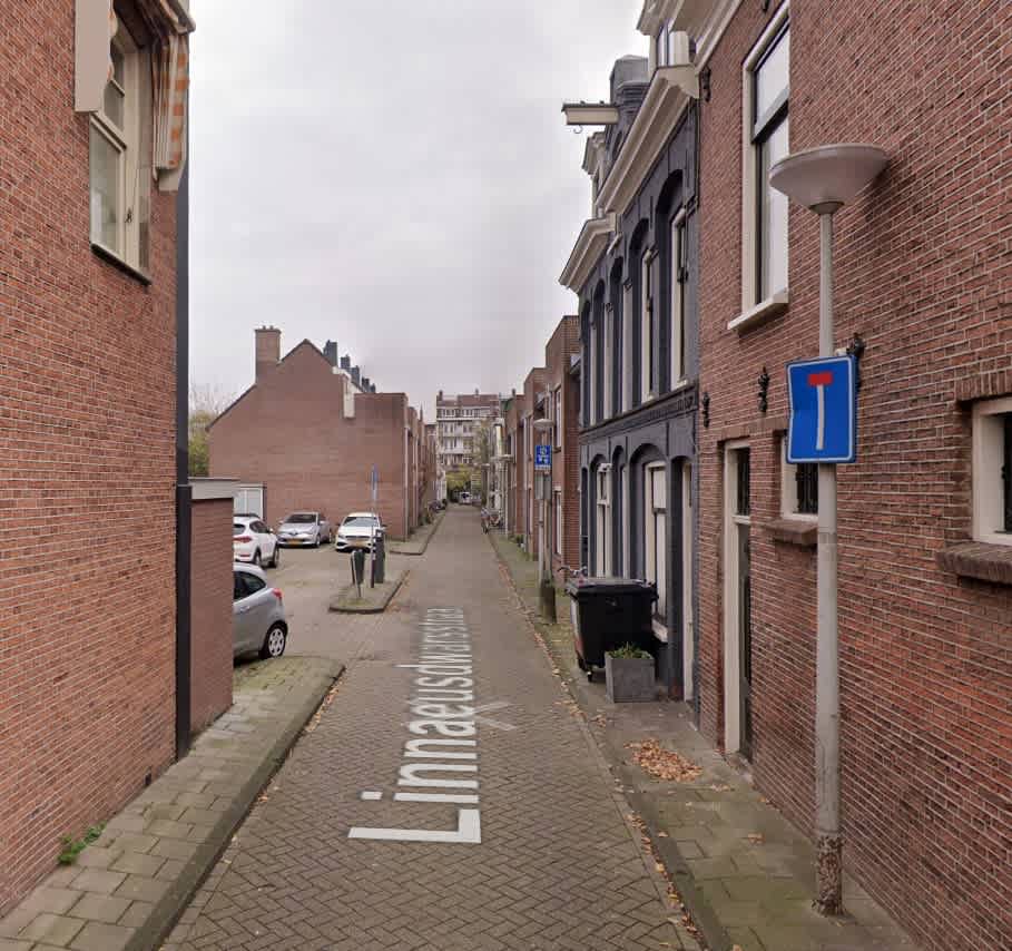 Linnaeusdwarsstraat 6A - Amsterdam