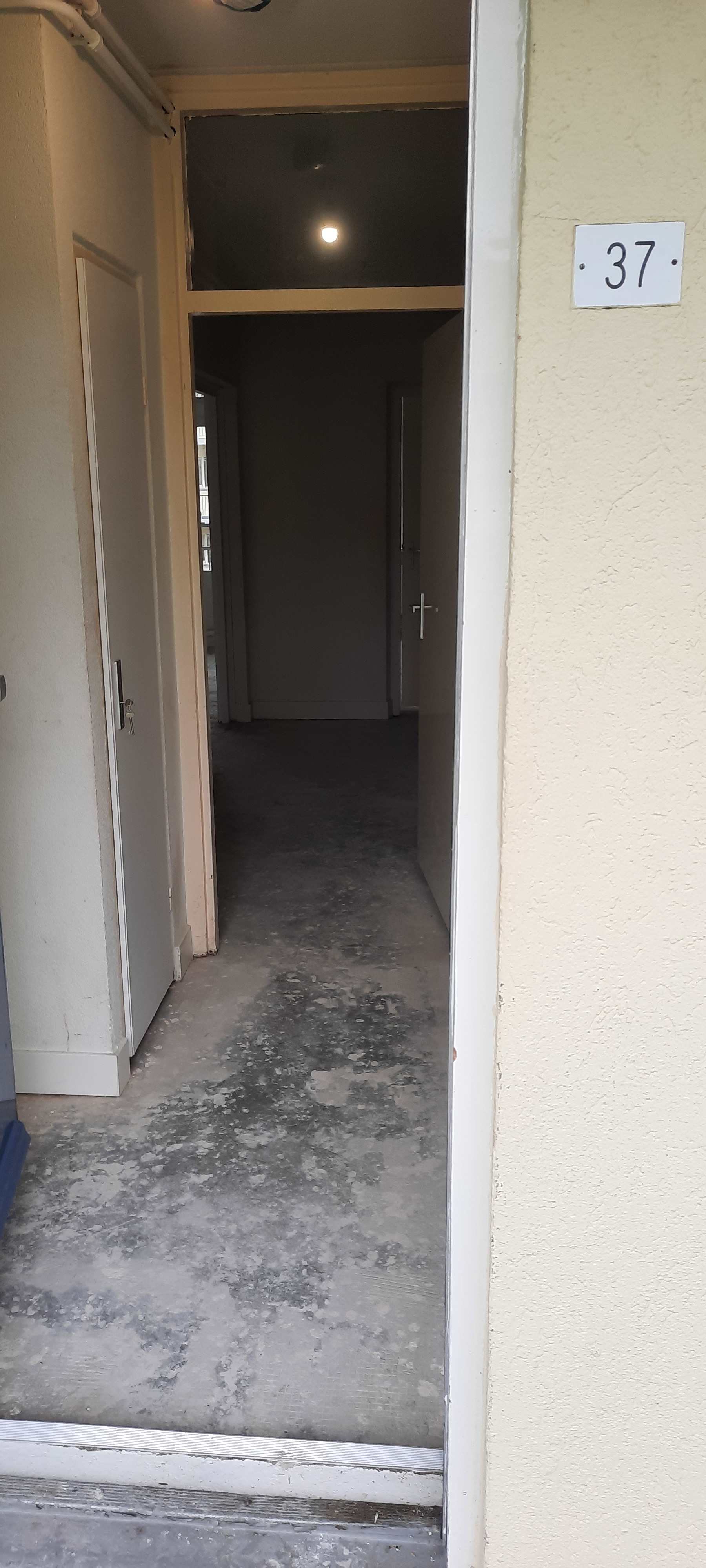 Mastbos 37 - Amsterdam