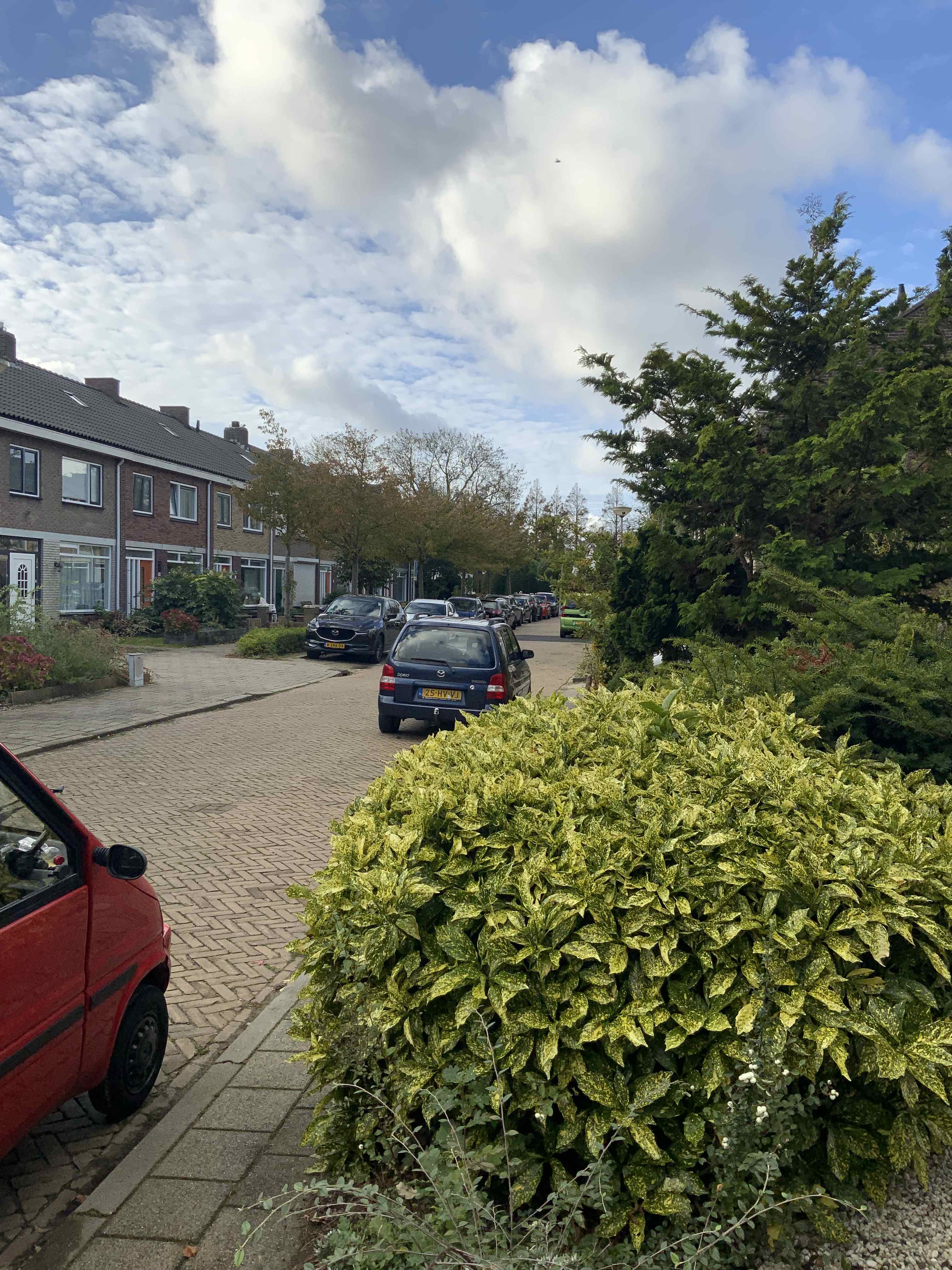 Wagenaarstraat 21 - Heemskerk