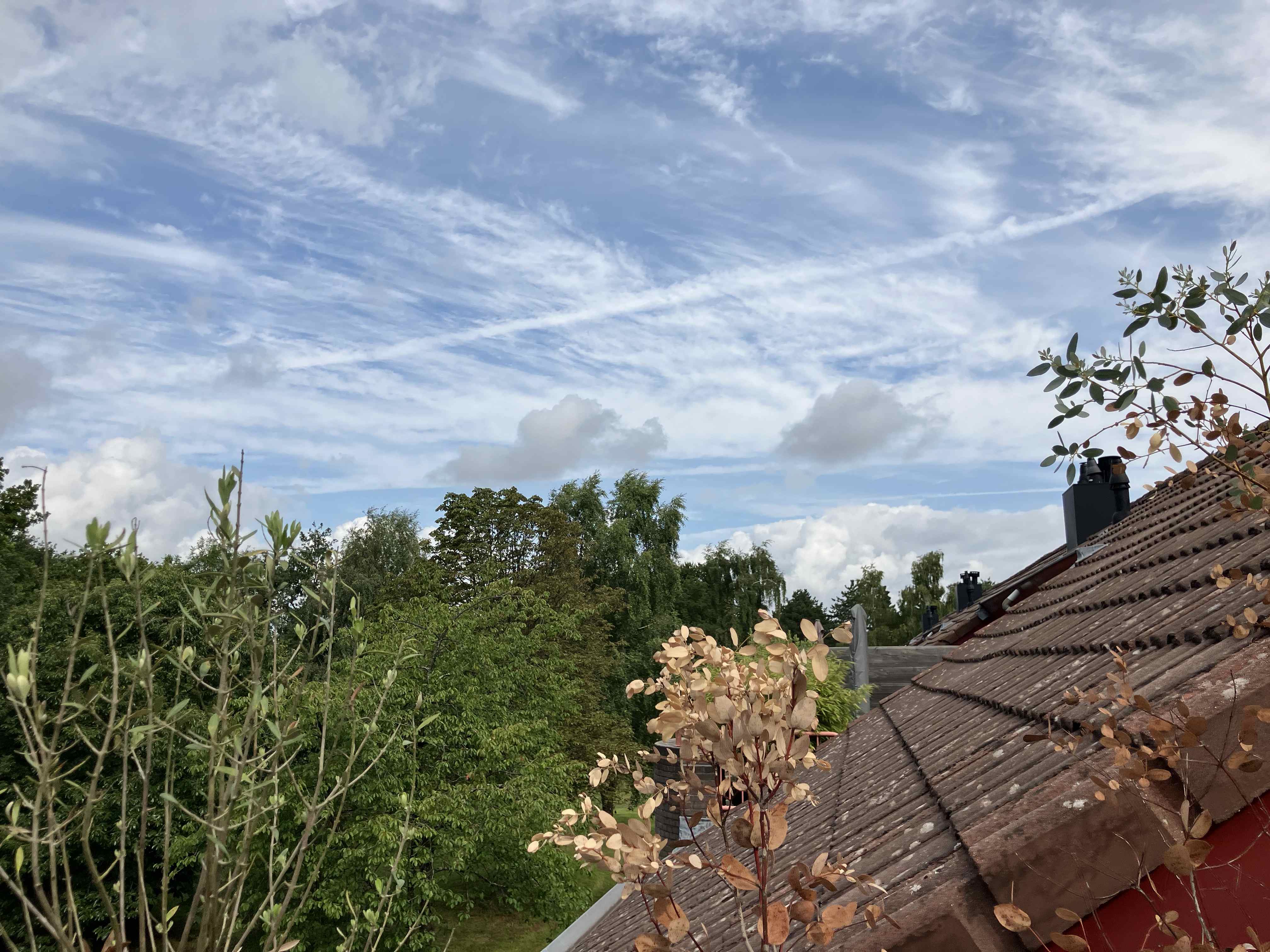 Bloemhof 103 - Bussum