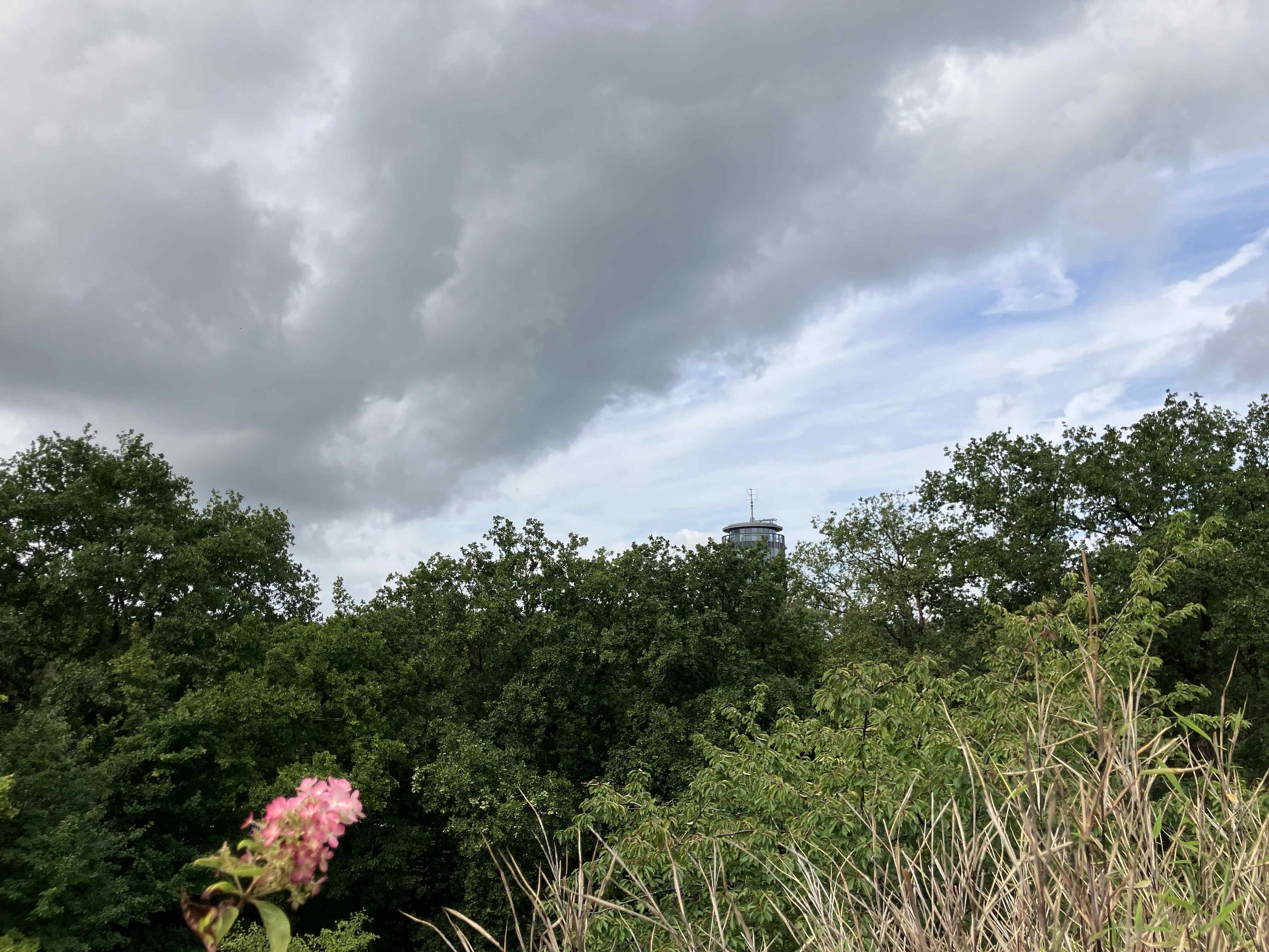 Bloemhof 103 - Bussum