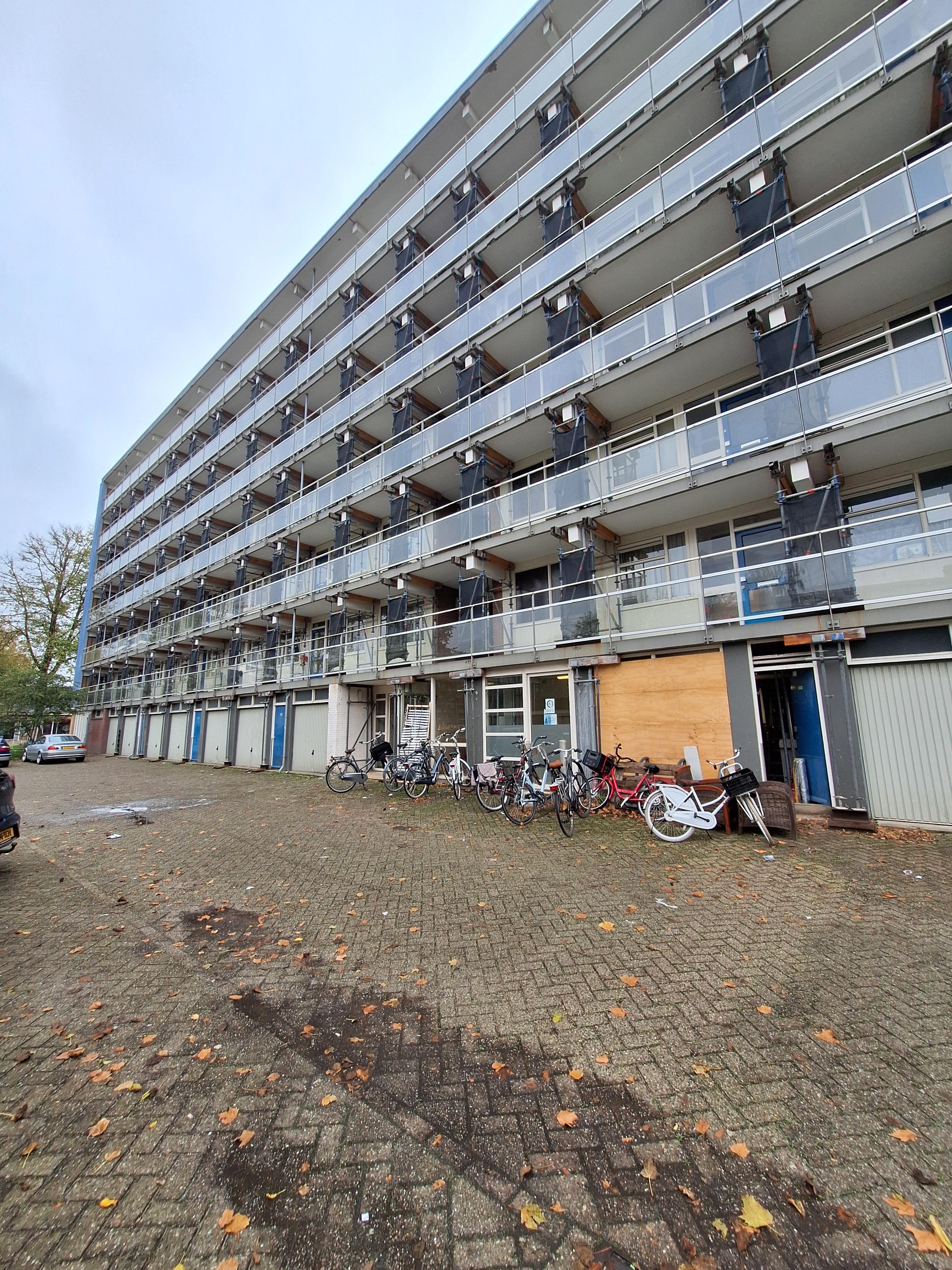 Tiranaplantsoen 103 - Haarlem