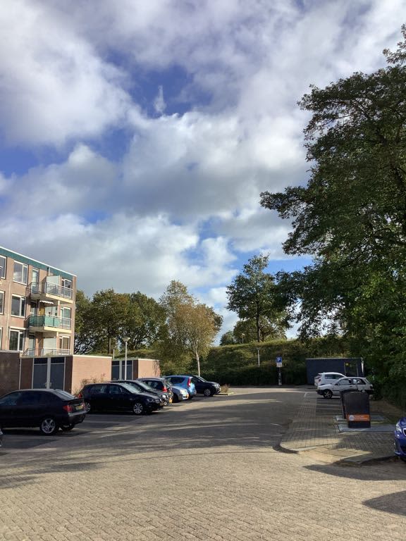 Leeuwerikstraat 150 - Papendrecht