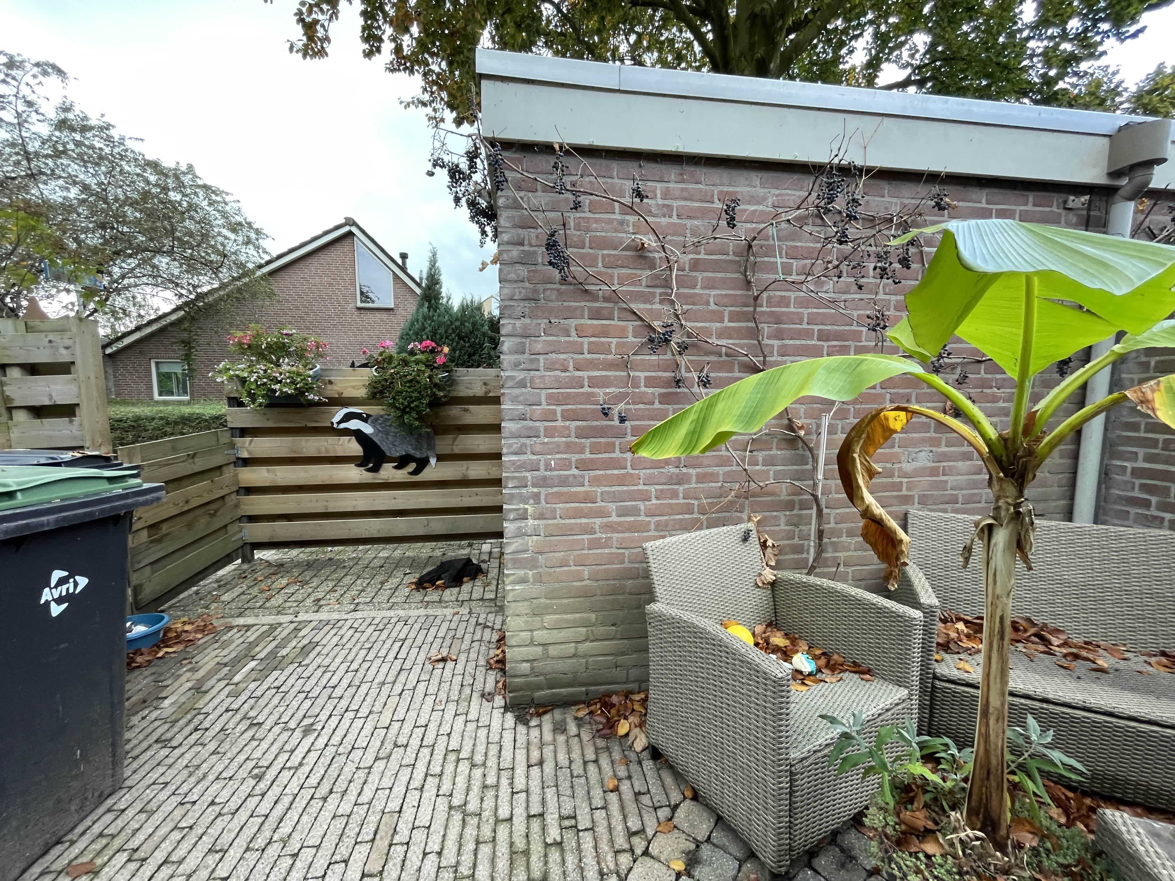 Wielewaalhof 4 - Dodewaard