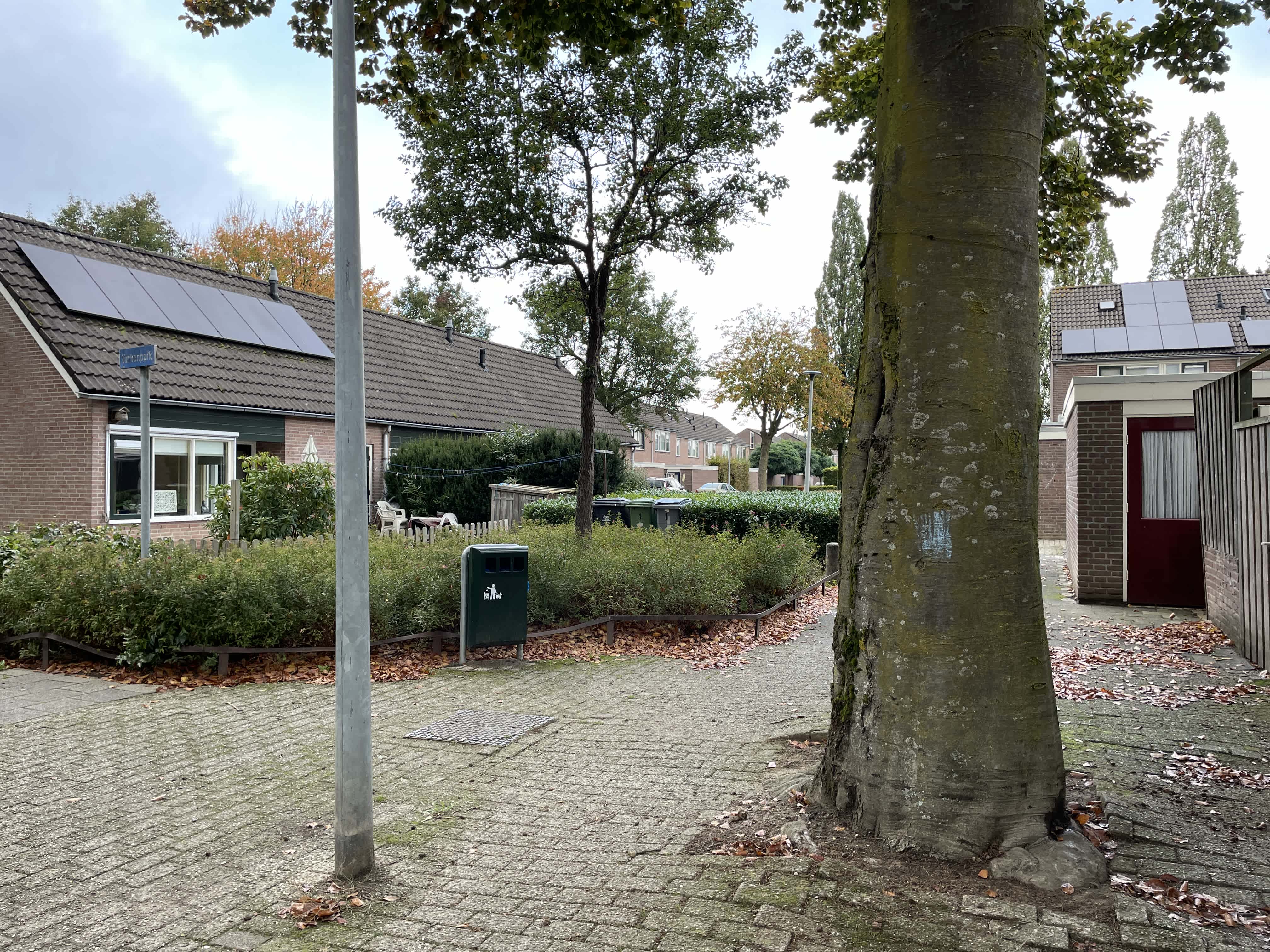 Wielewaalhof 4 - Dodewaard