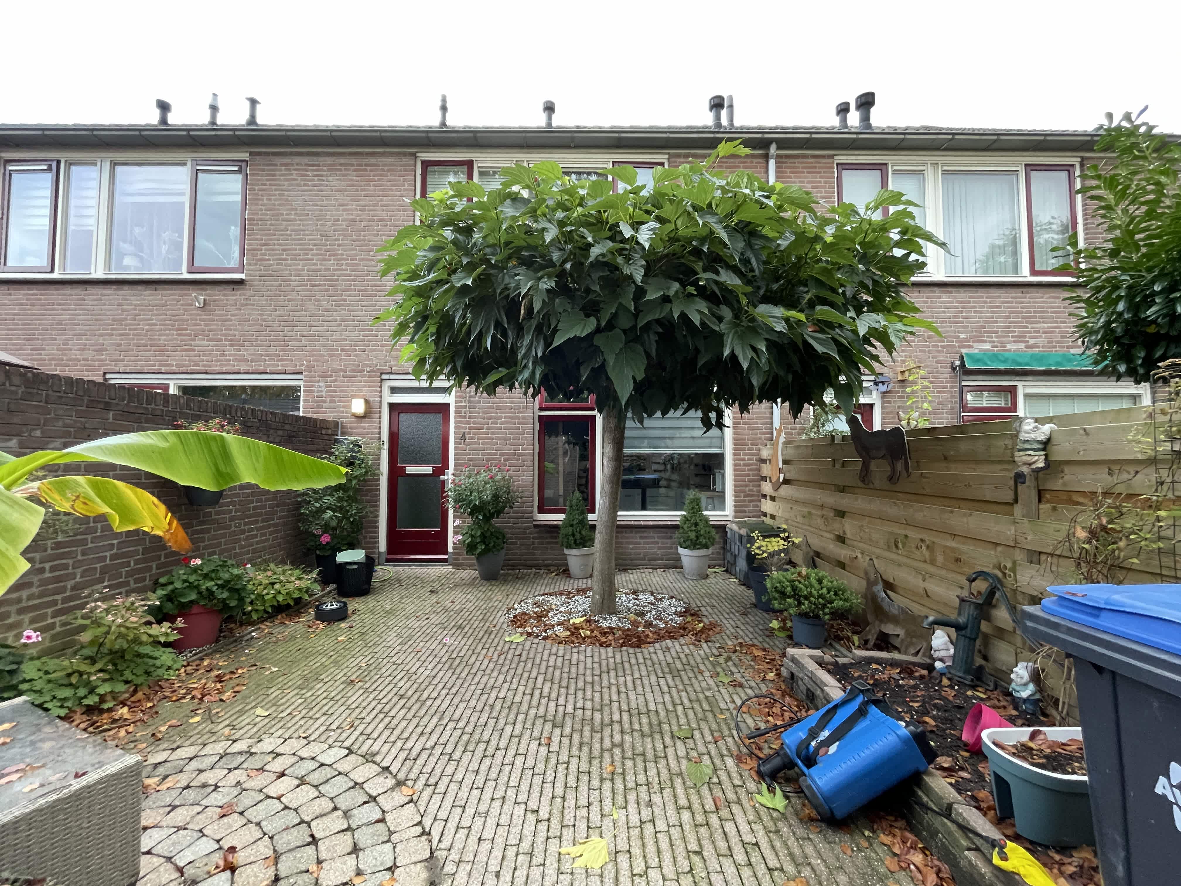 Wielewaalhof 4 - Dodewaard