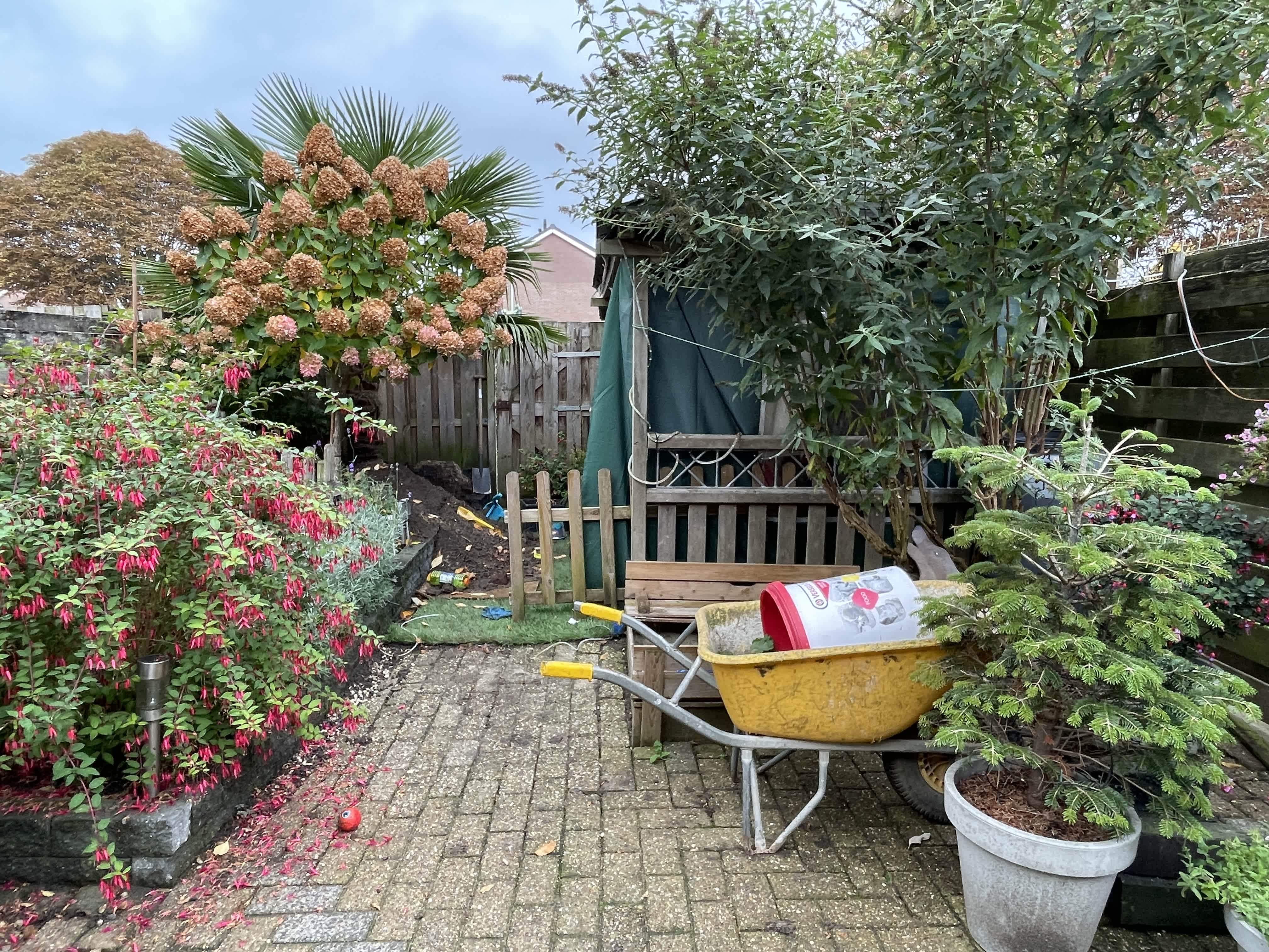 Wielewaalhof 4 - Dodewaard