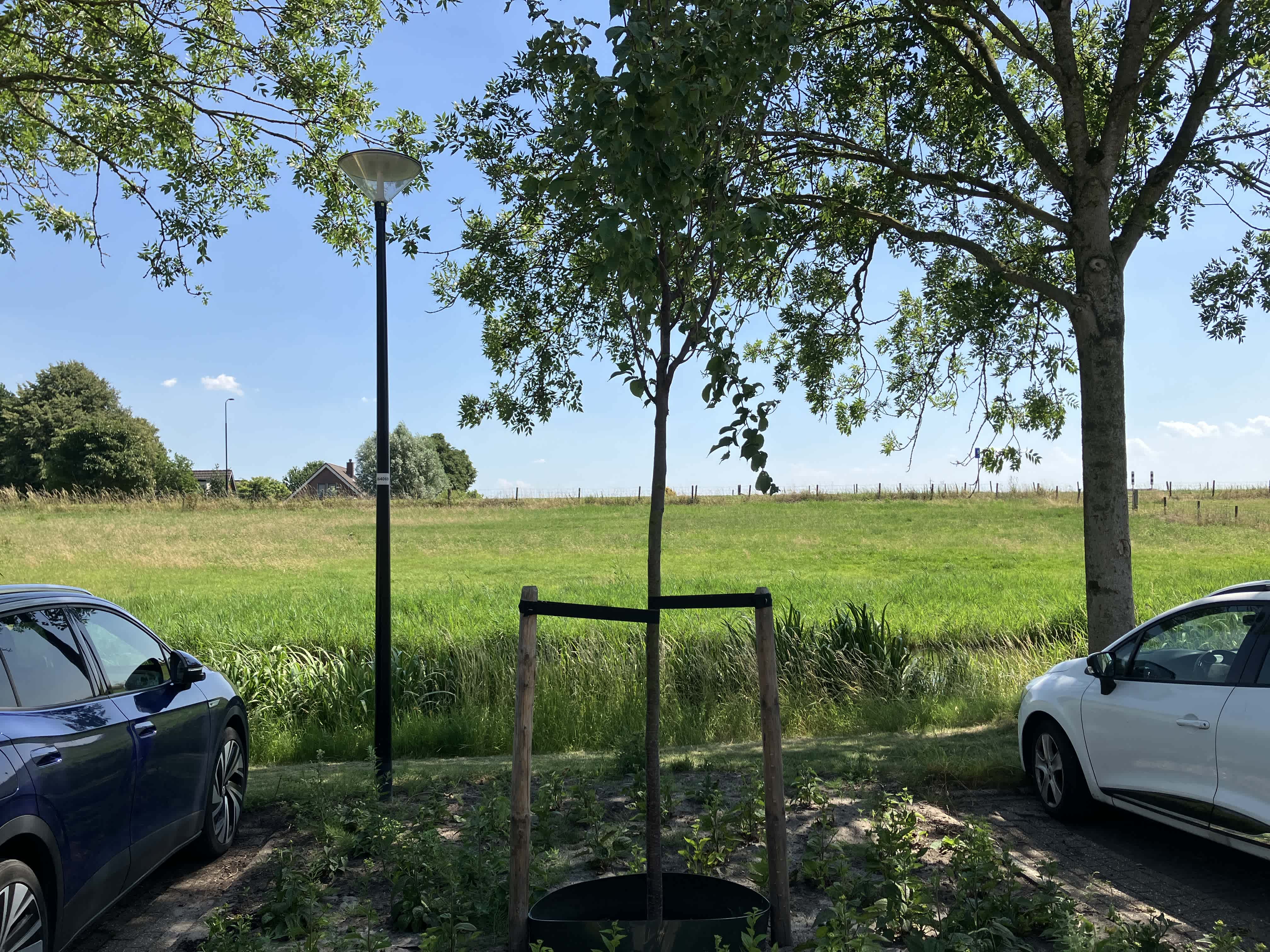 Buitenkruier 40 - Mijdrecht