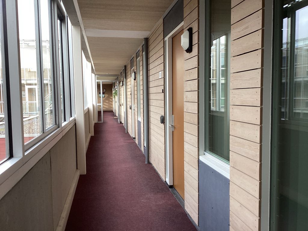 Fluweelmos 122 - Houten