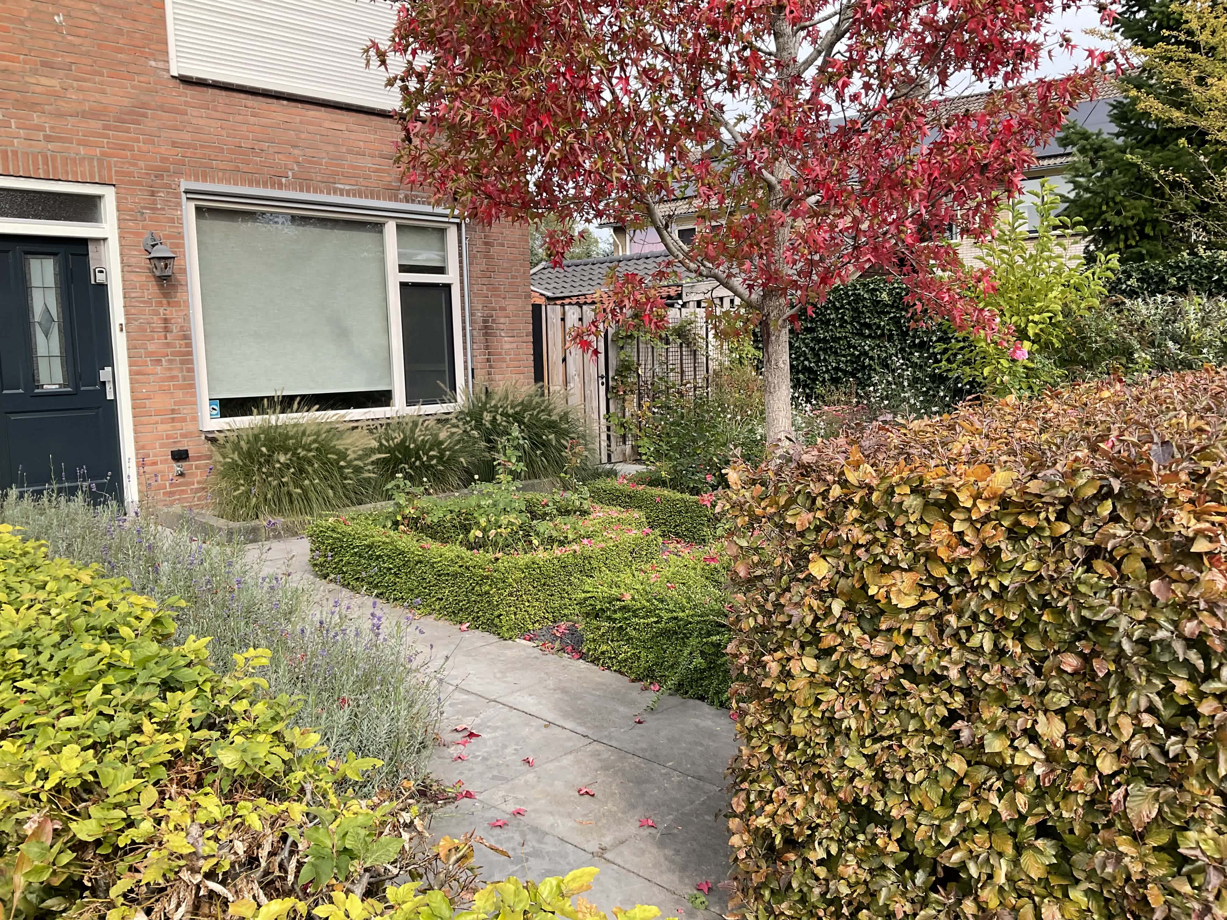 van Langerakstraat 18 - Asperen