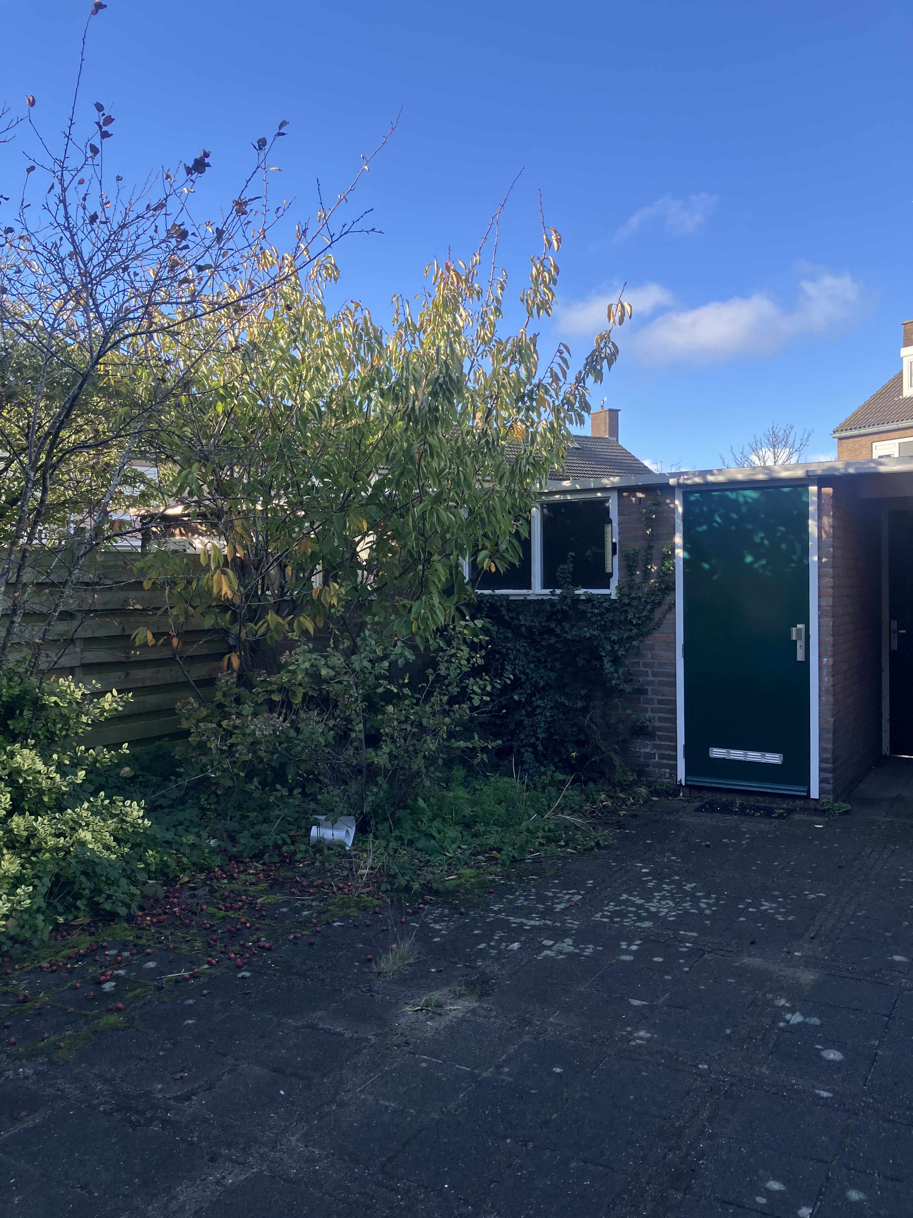 Linnaeusstraat 5a - Zandvoort