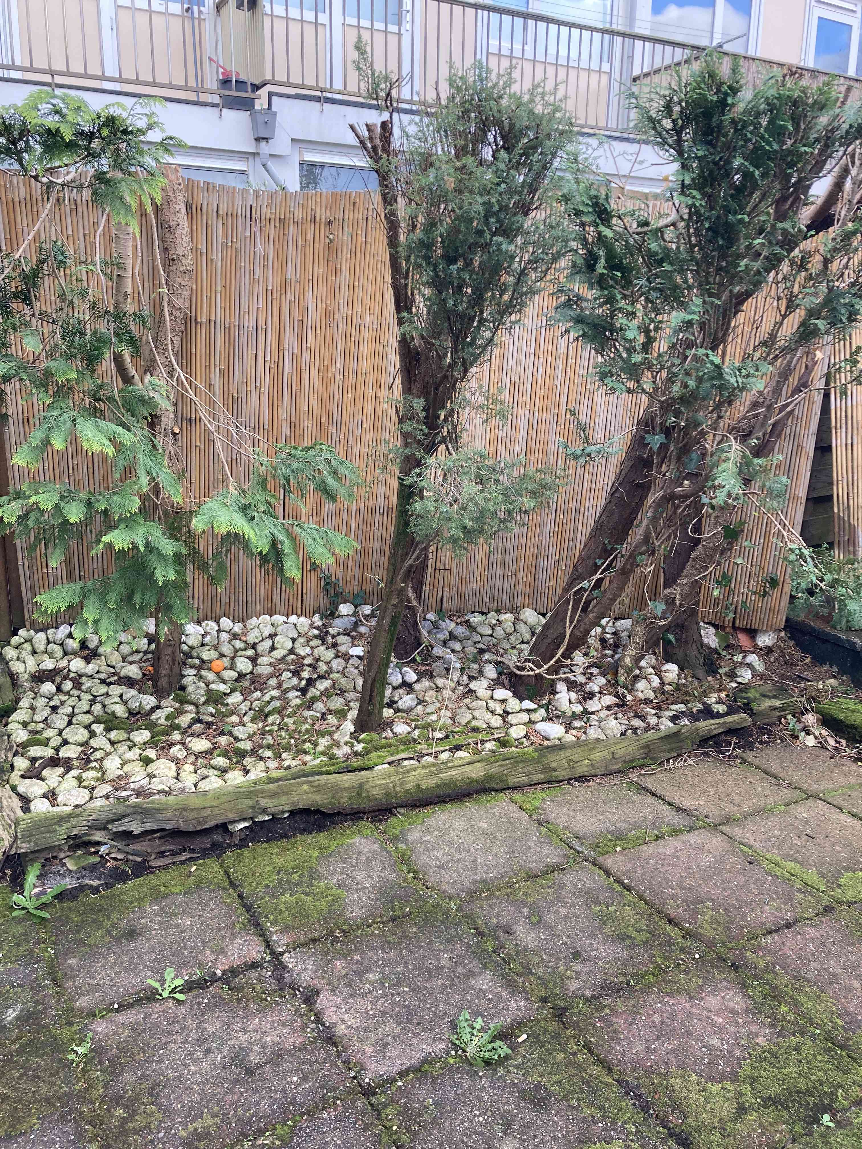 Aagje Dekenstraat 34 - Haarlem