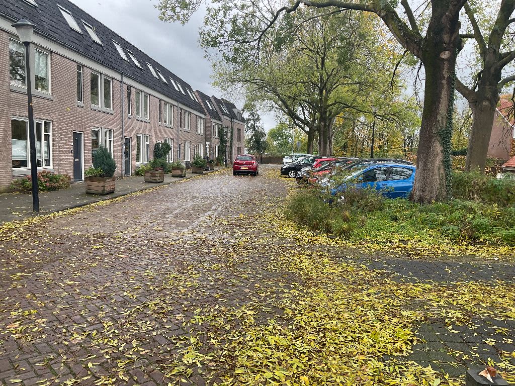 Binnenmolenstraat 34 - Culemborg