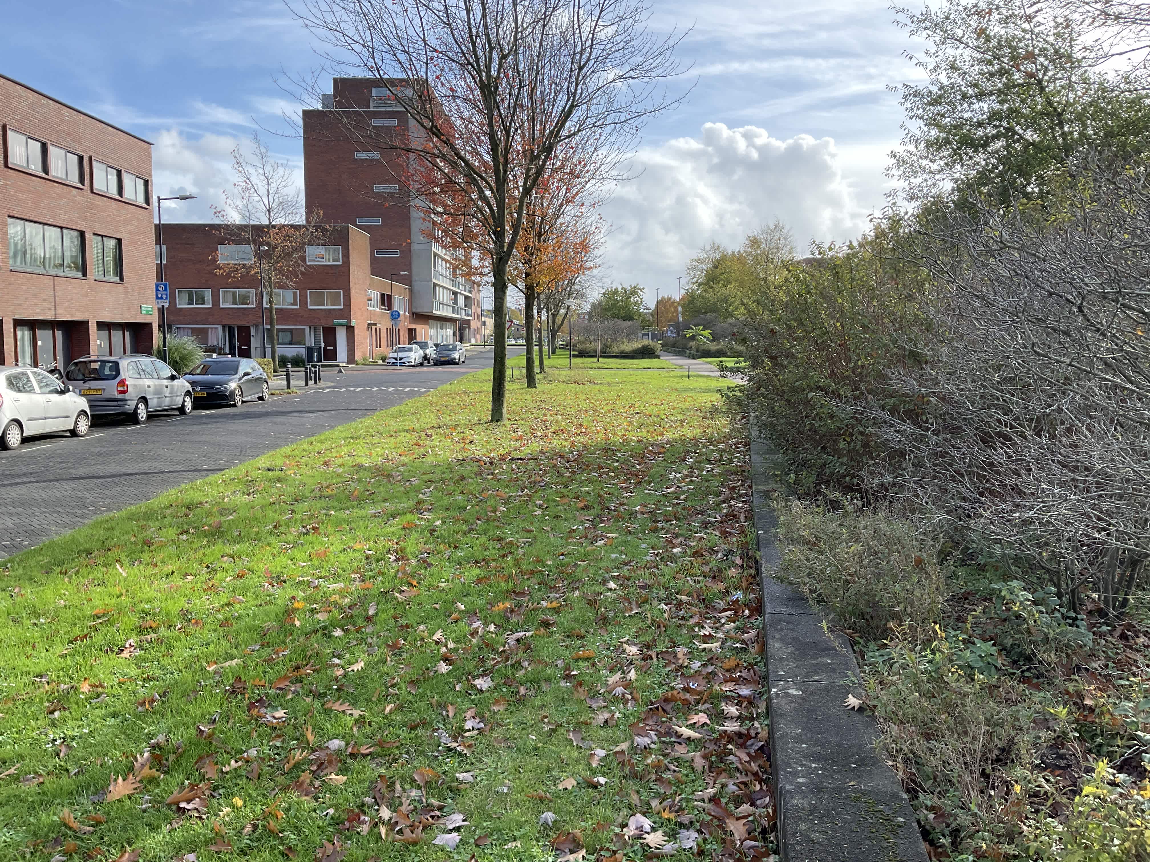 Isabella Richaardsstraat 24 - Amsterdam