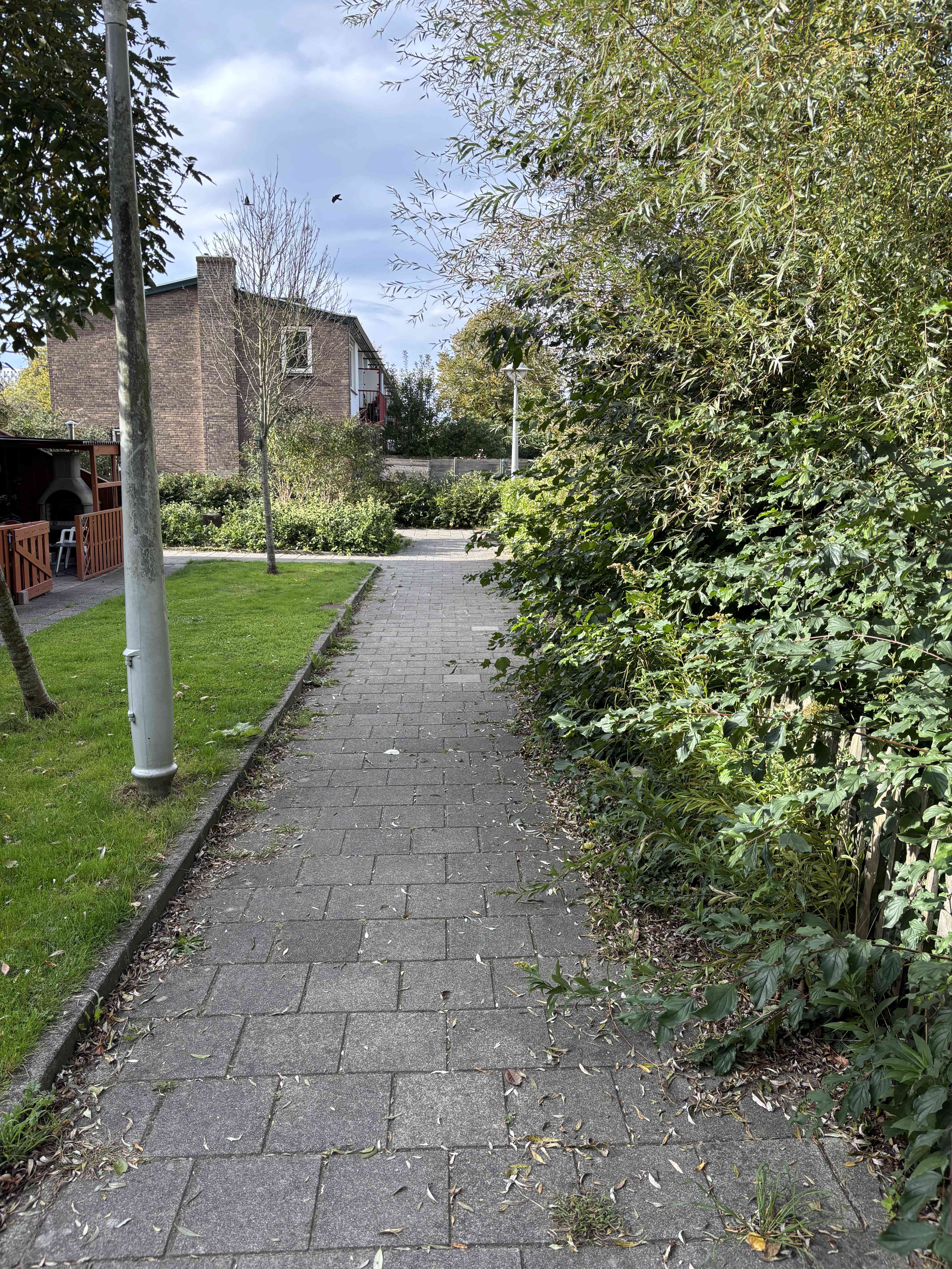 Zwaardemakerstraat 91 - Amsterdam
