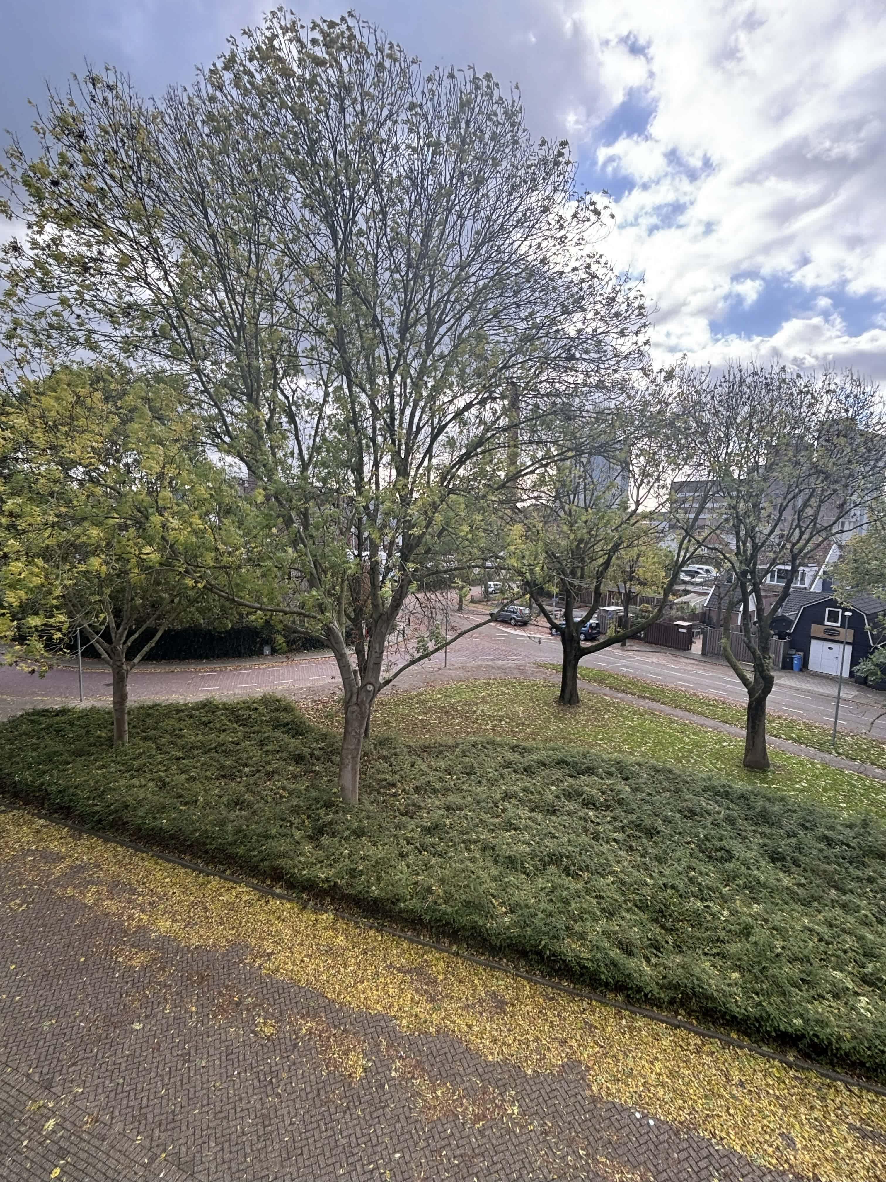 Hobbemastraat 141 - Woerden