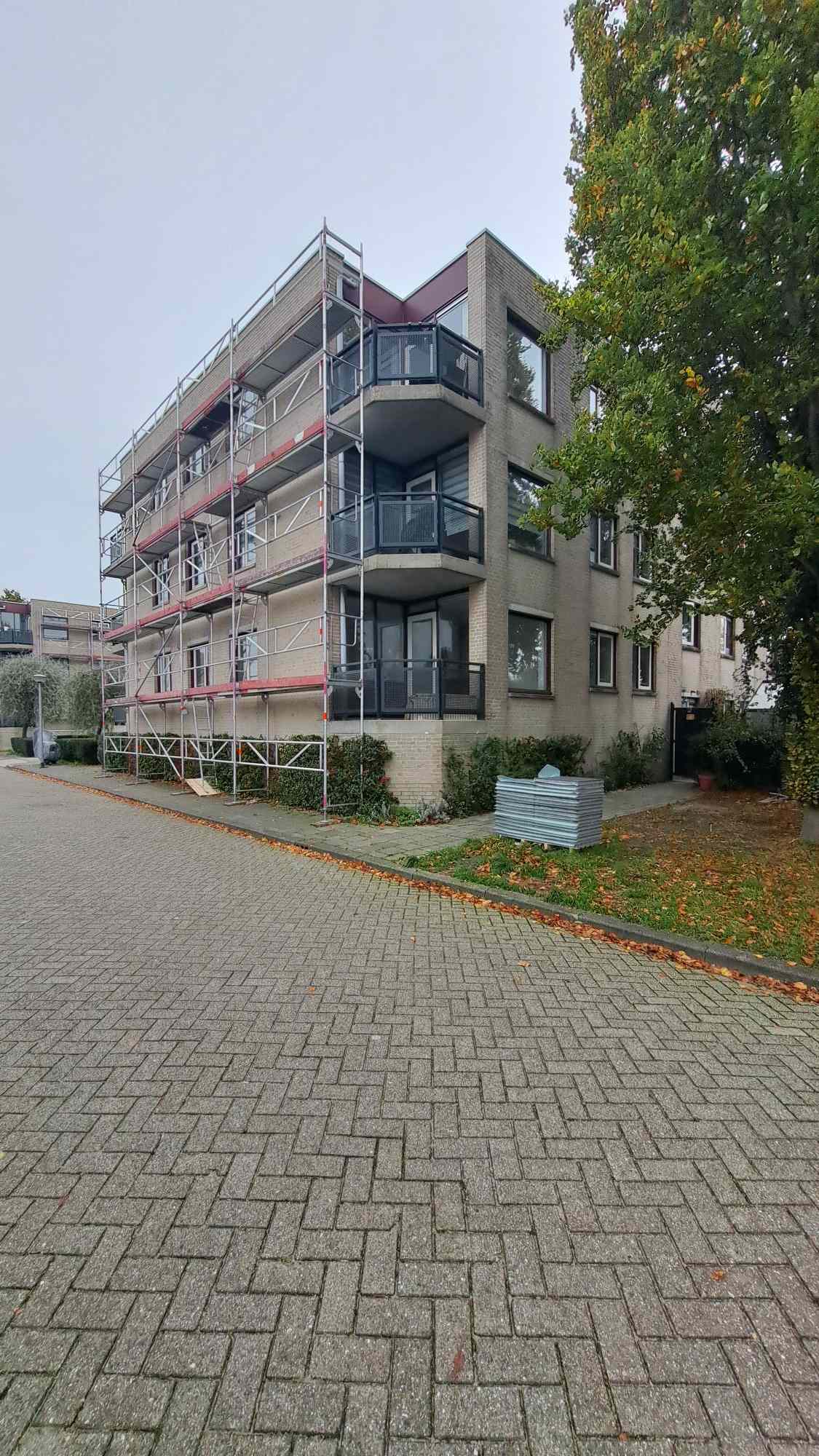 Rosarium 119 - Almere