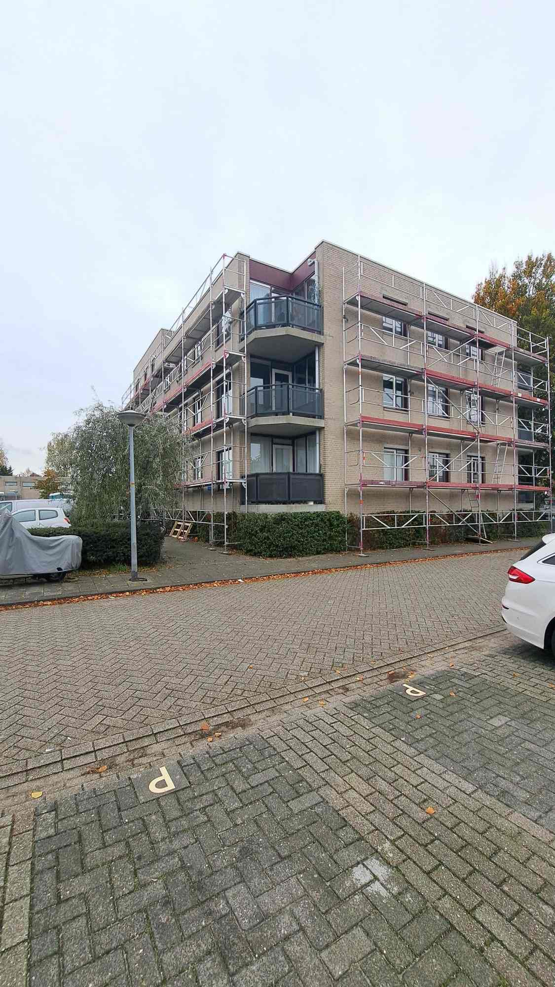 Rosarium 119 - Almere