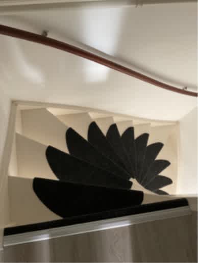 Fonteinkruid 12 - Kockengen