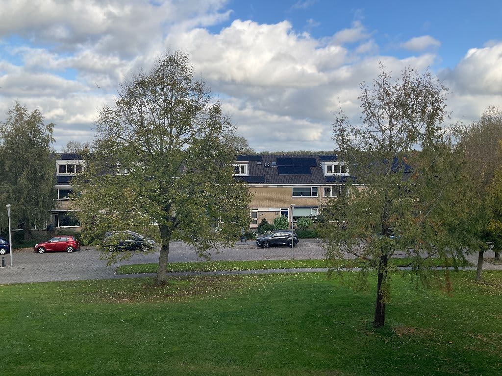 Gershwinhof 52 - Culemborg