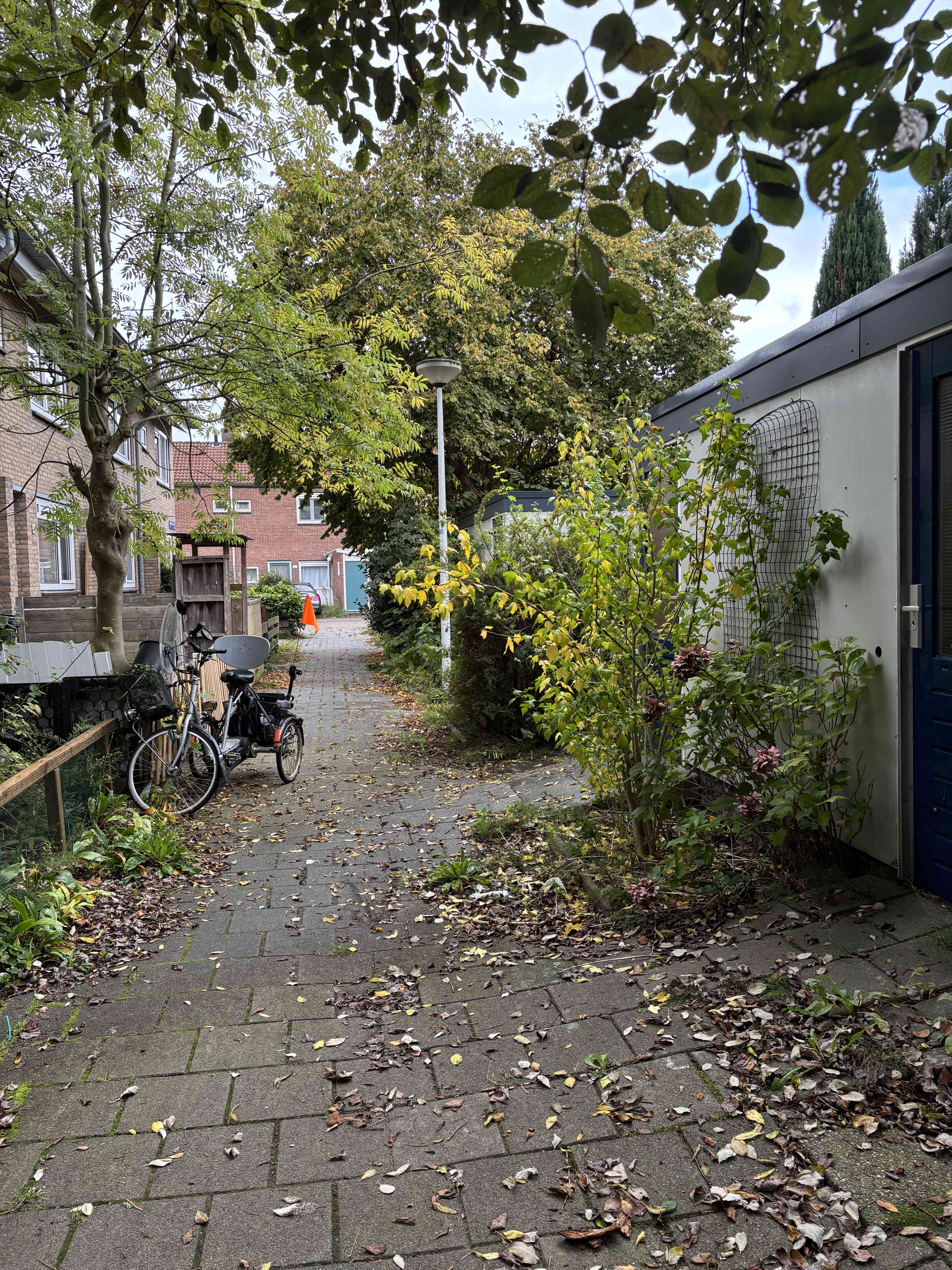 Frans Duwaerstraat 44 - Amsterdam