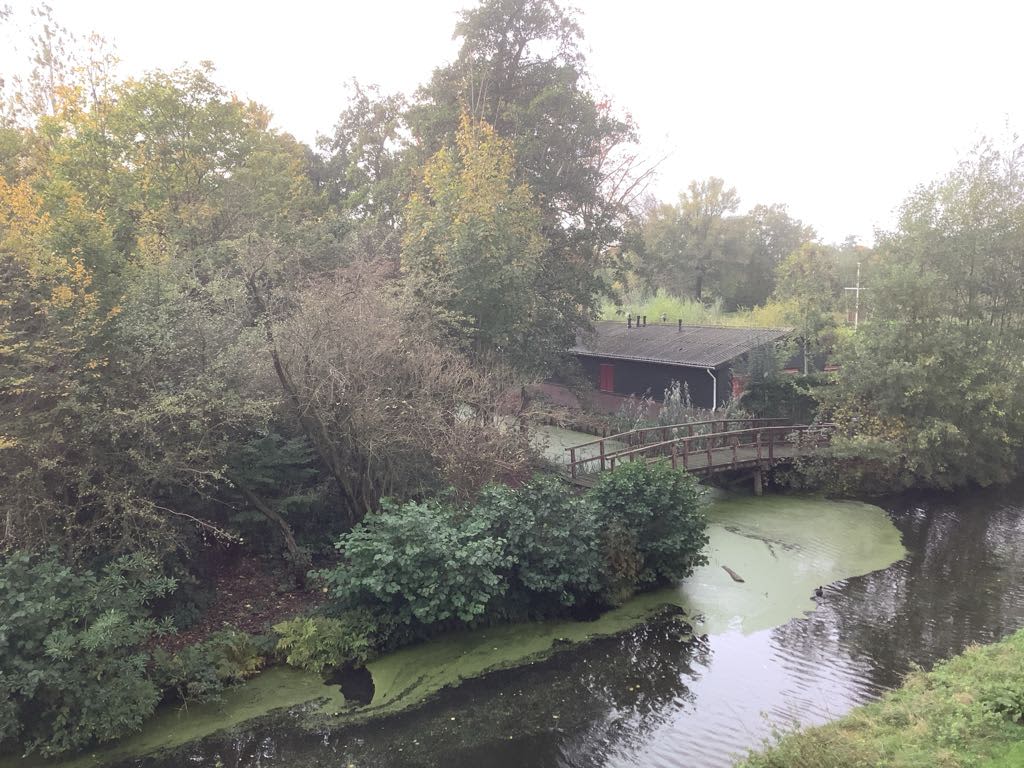 De Savornin Lohmanweg 30b - Alblasserdam