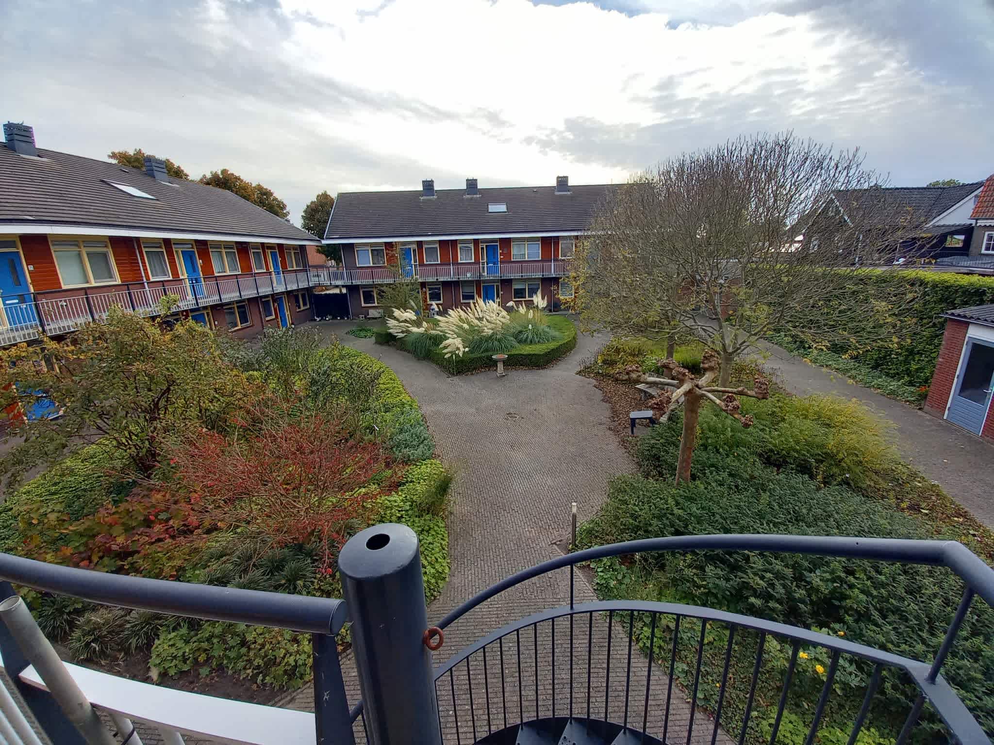 Noorse Wal 19 - Hank