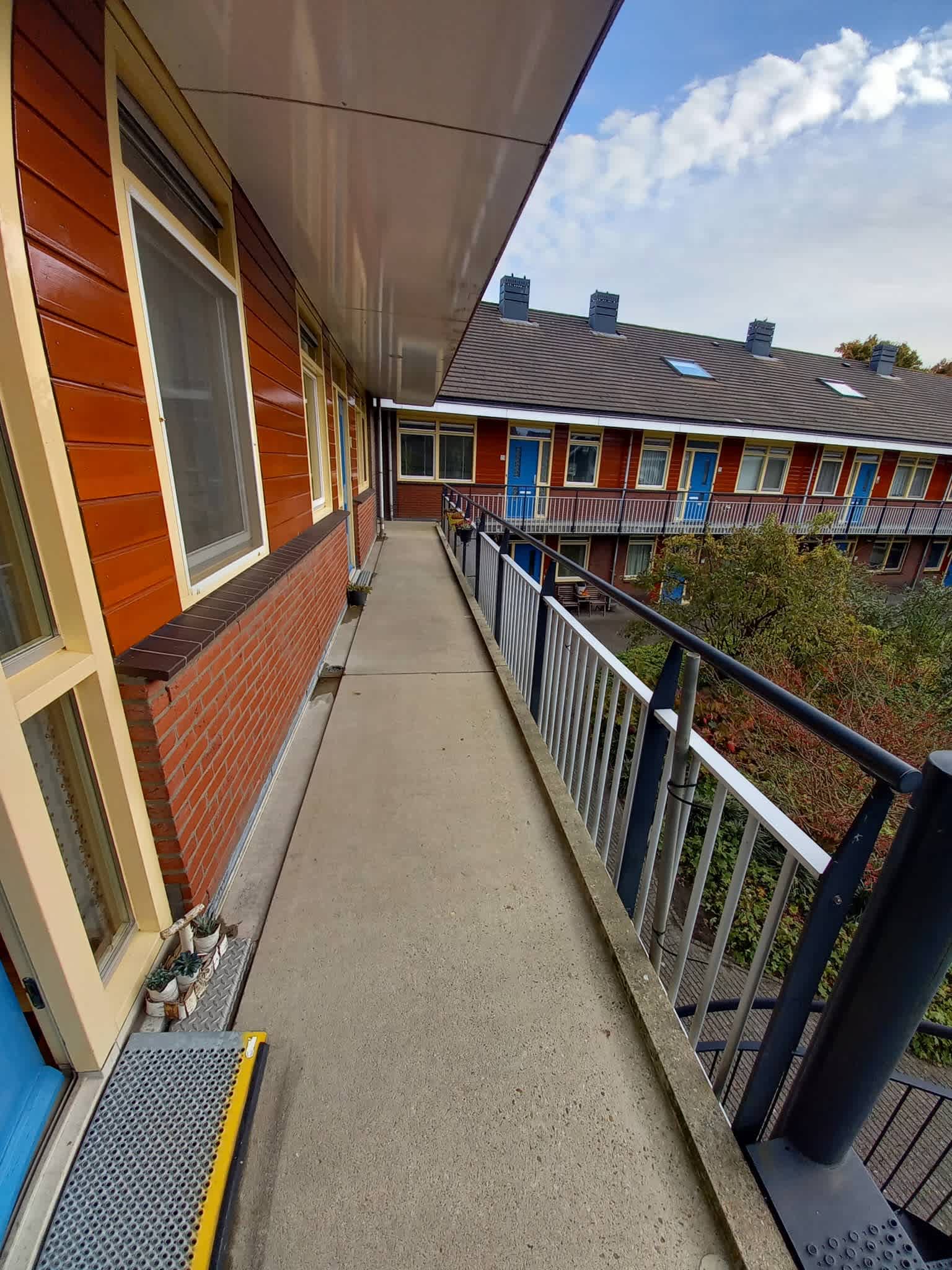 Noorse Wal 19 - Hank