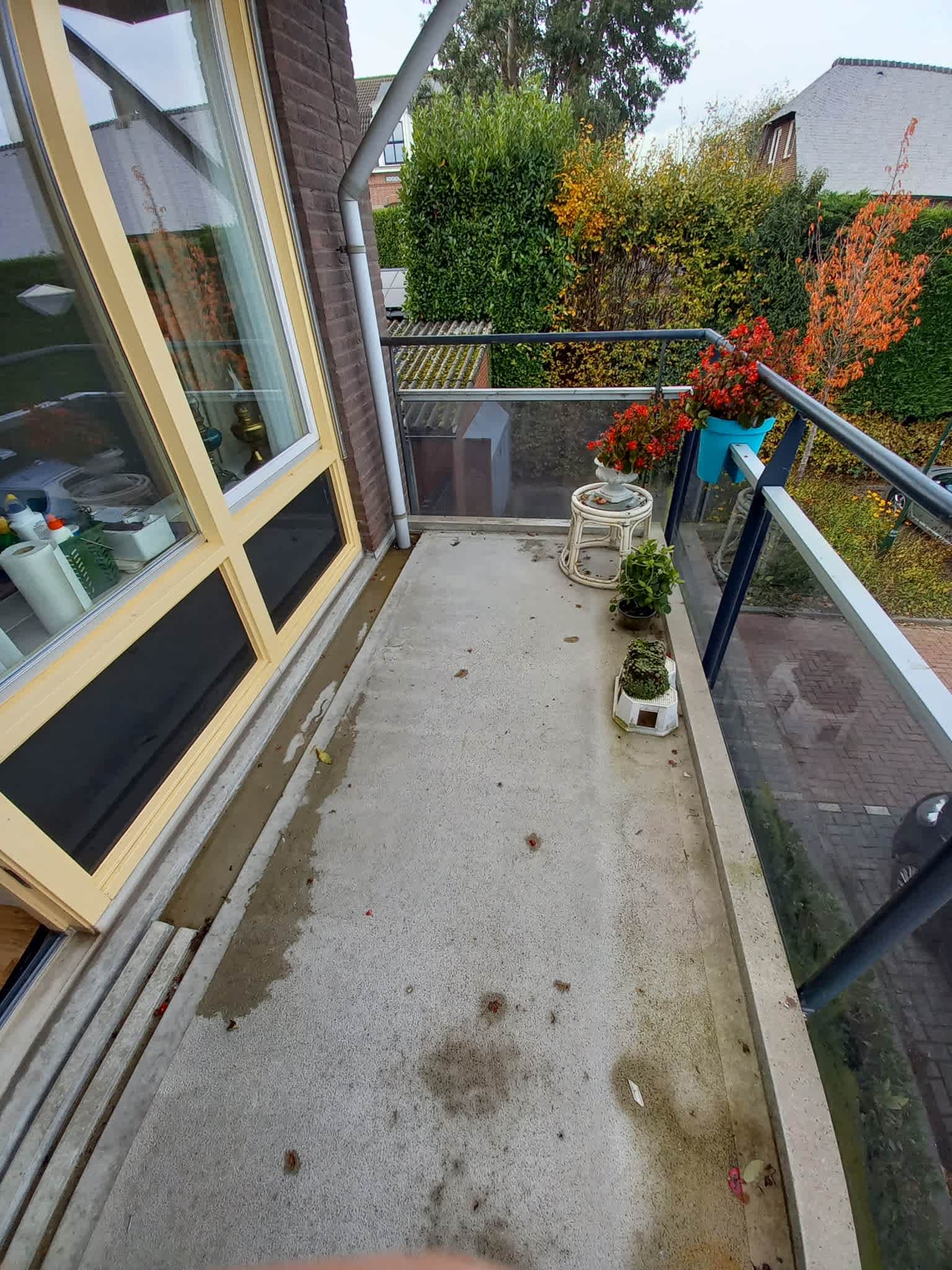 Noorse Wal 19 - Hank