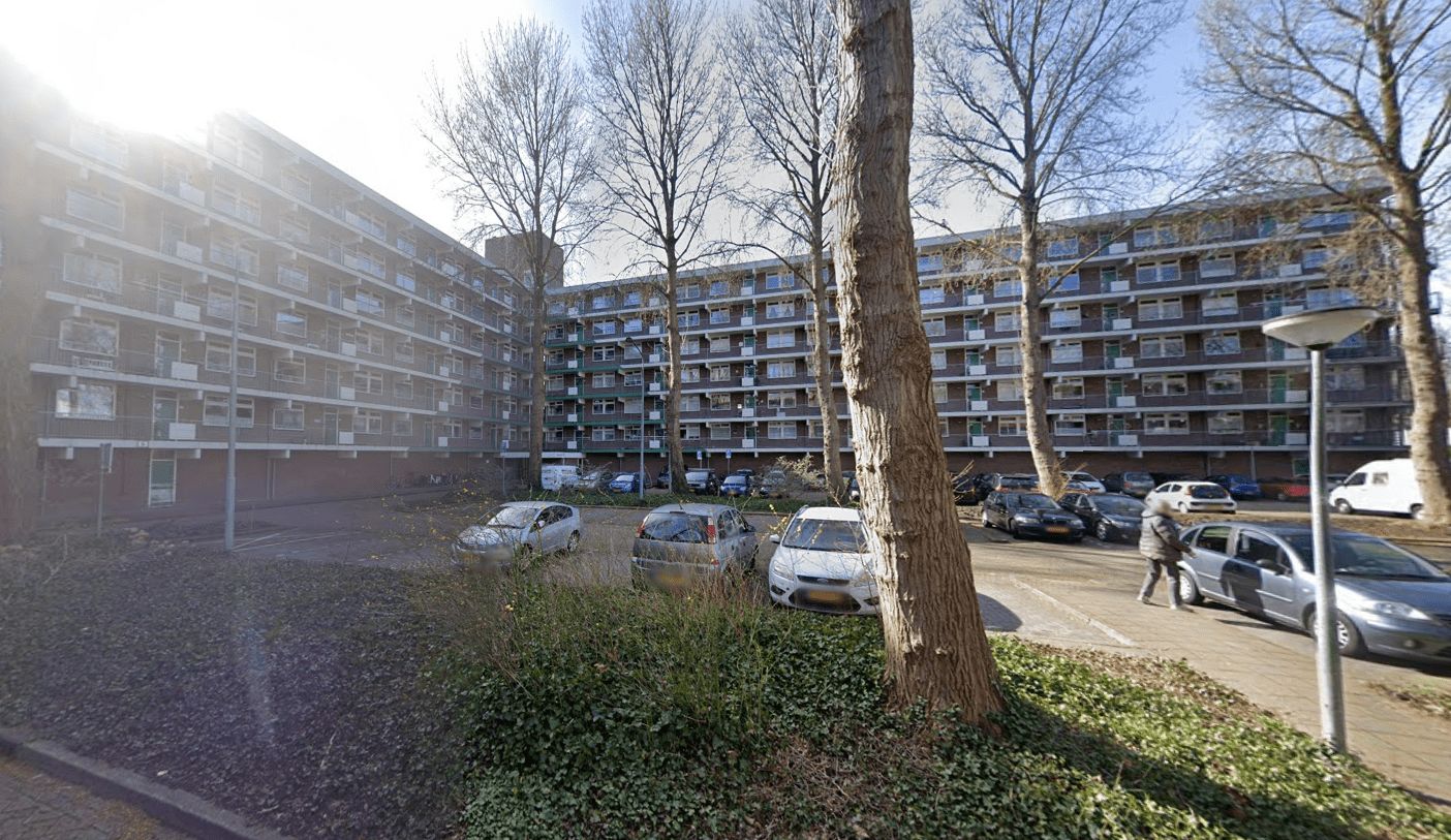 Kleine Beer 34 - Krommenie