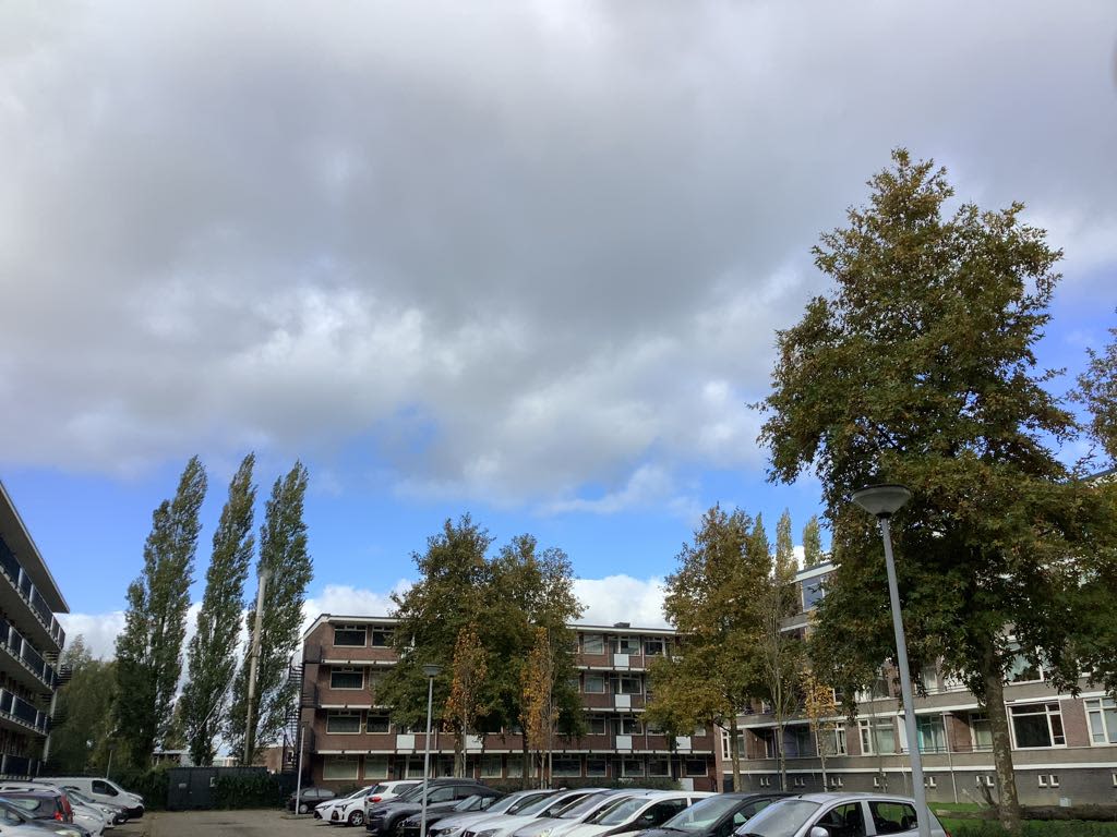 Staringlaan 410 - Papendrecht