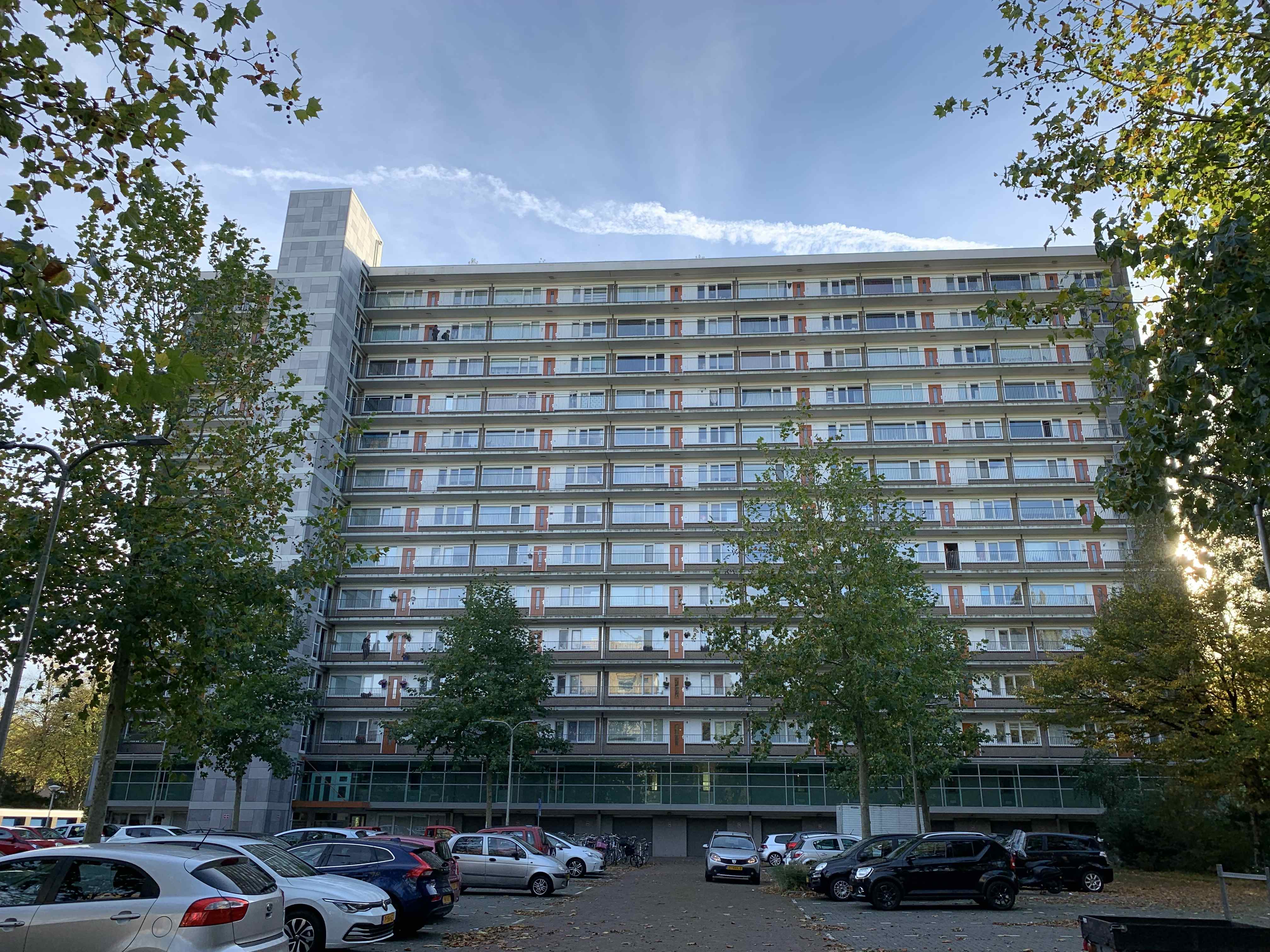 Mont Blanc 42 - Amstelveen