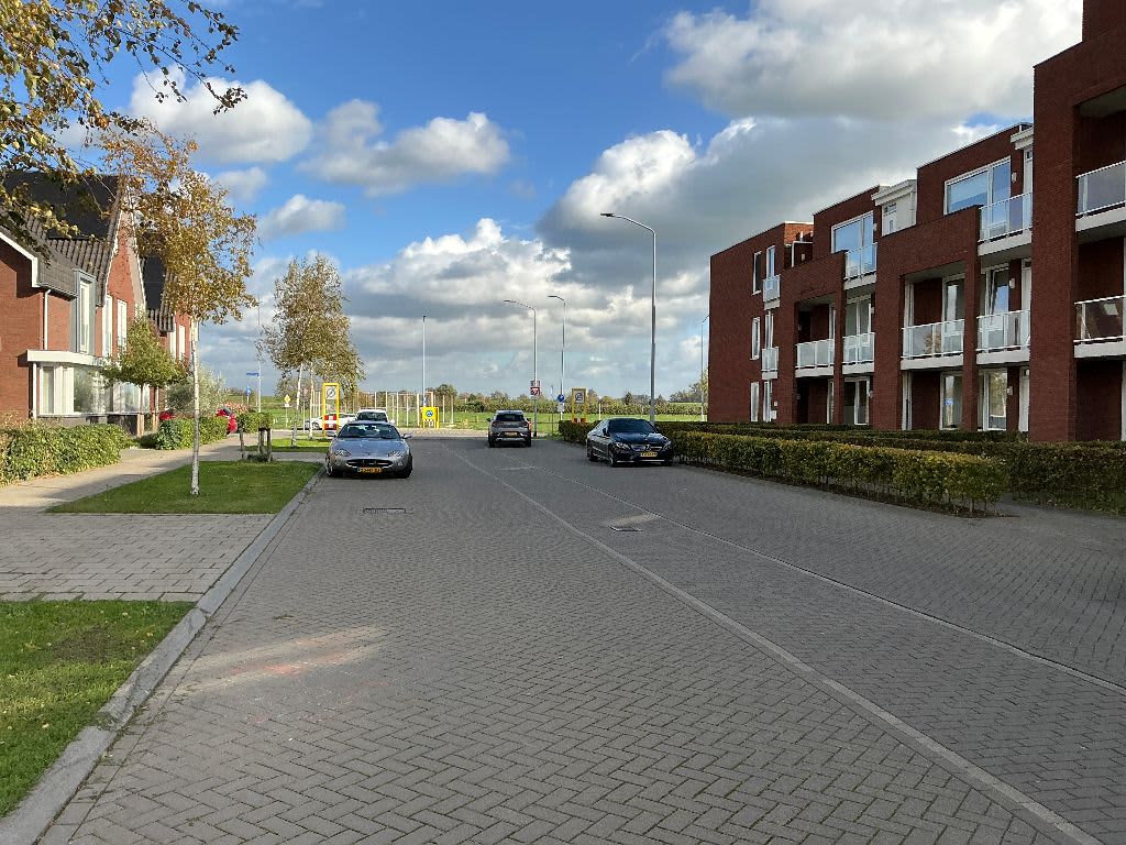 Aardbeivlinder 1526 - Tiel